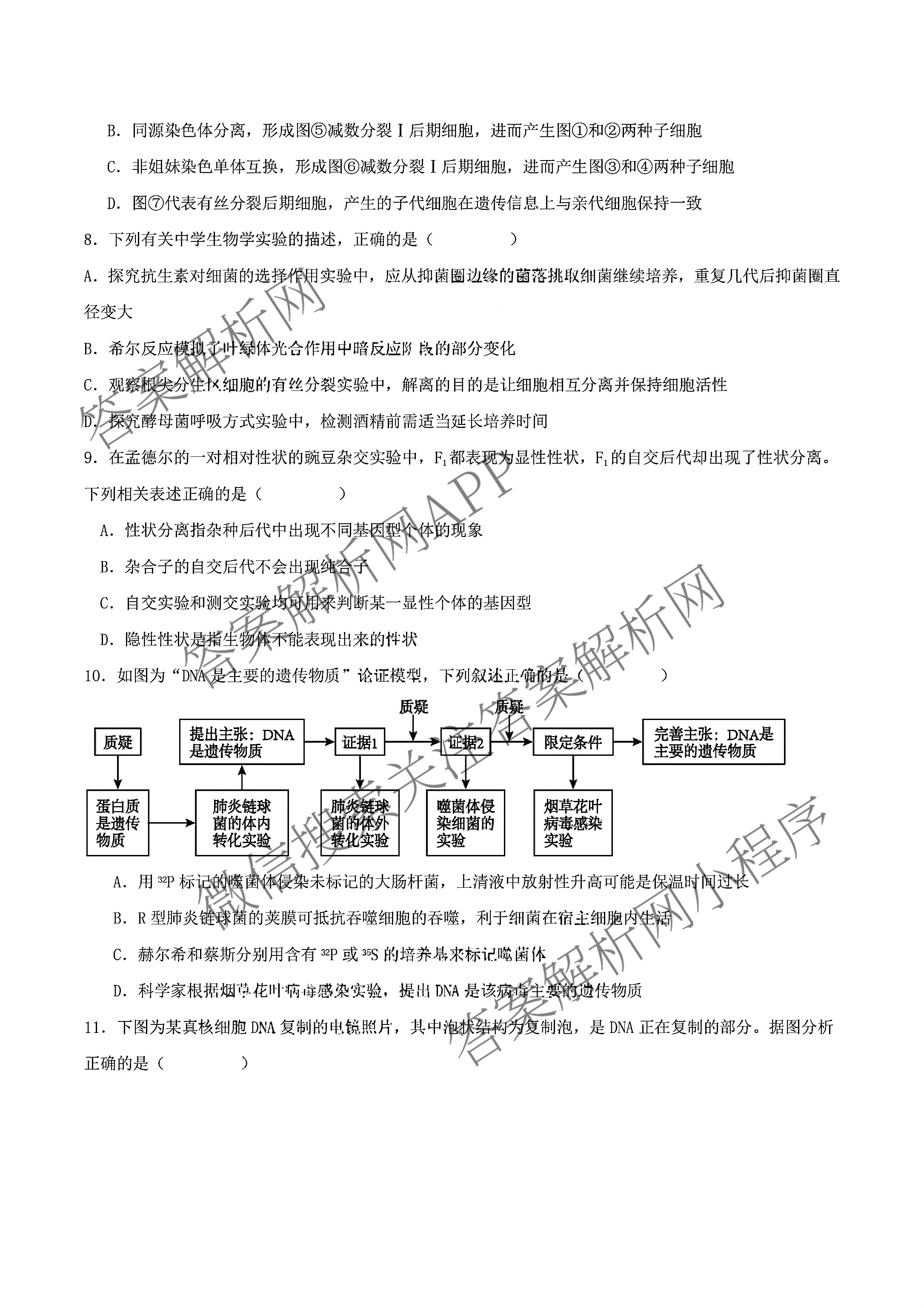 山西省阳泉一中2025年高二分班考试试卷及答案汇总: 含历史、物理、语文试卷解析生物试题