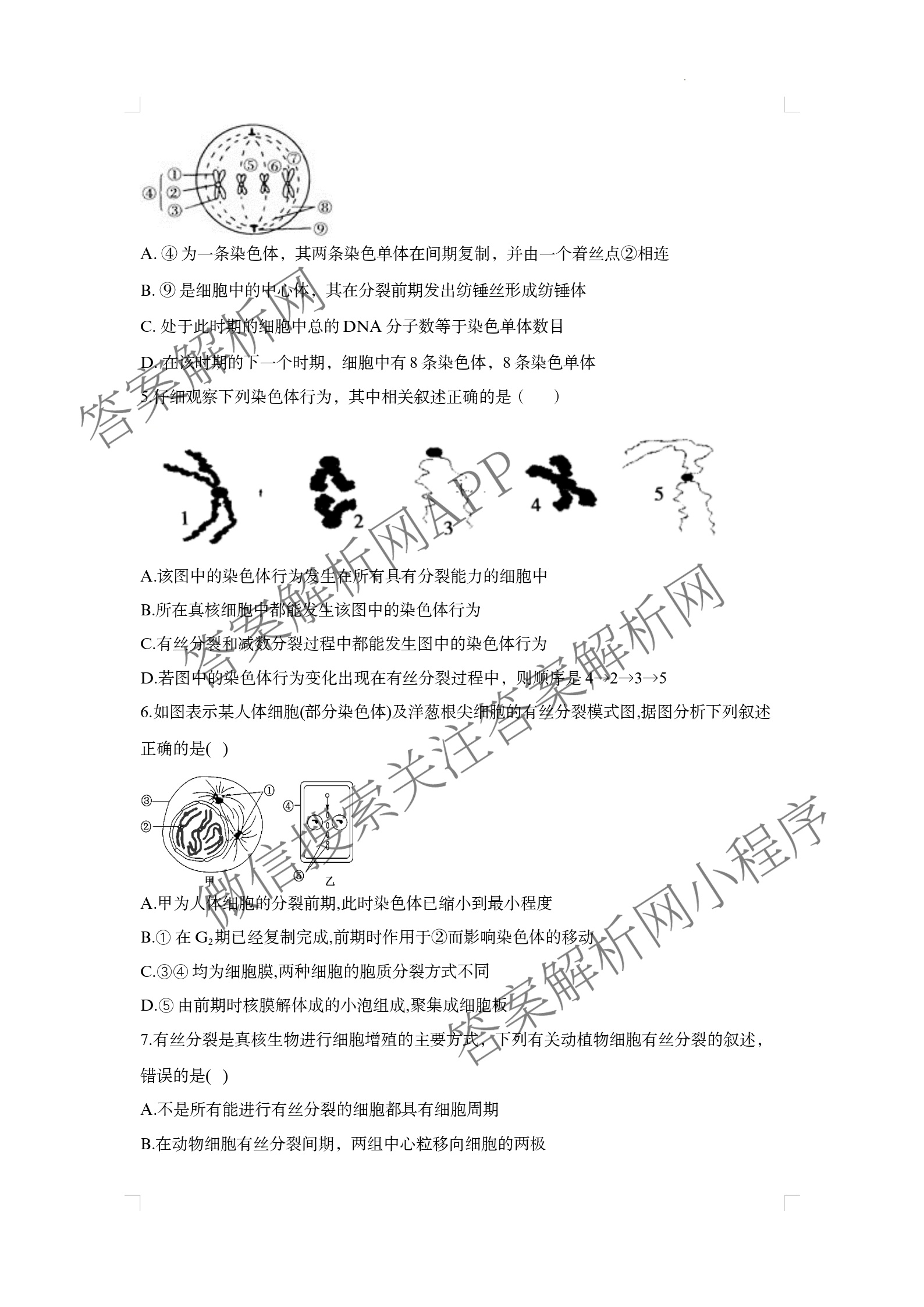 山西省太原市山西大学附中2025-2026学年高三8月月考试卷及答案汇总（含英语 物理 生物等9份）生物试题