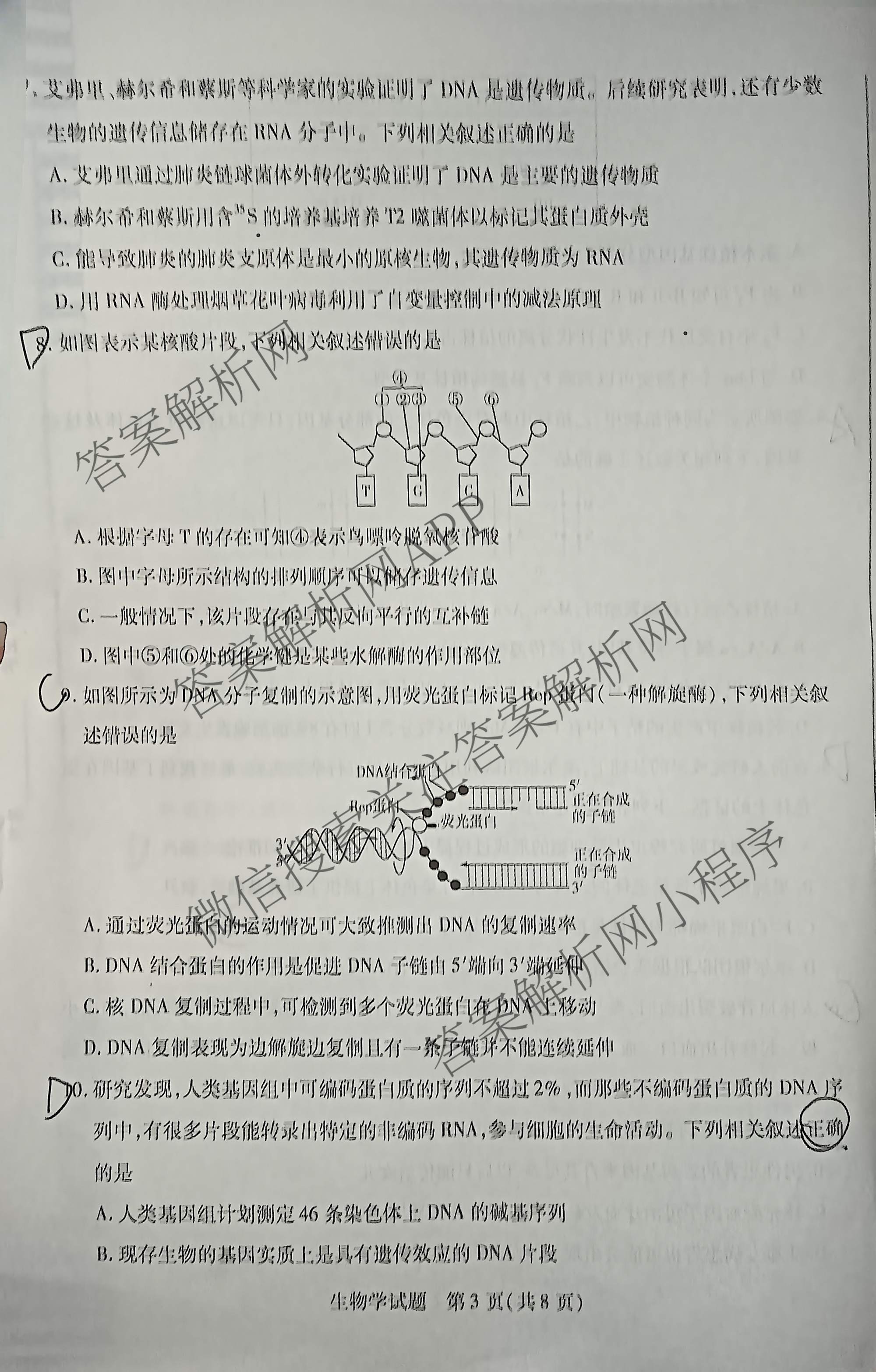  天一大联考安徽2025年9月高二秋季检测试卷及答案汇总（含语文、物理(黄山专版)、历史等）生物试题