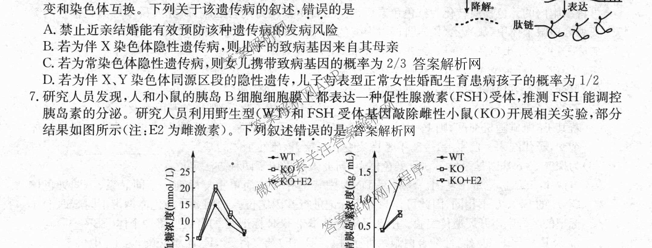 全国名校大联考2025~2026学年高三第六次联考(月考)各科答案及试卷（含语文、化学(A2)、历史(河南)等）生物试题