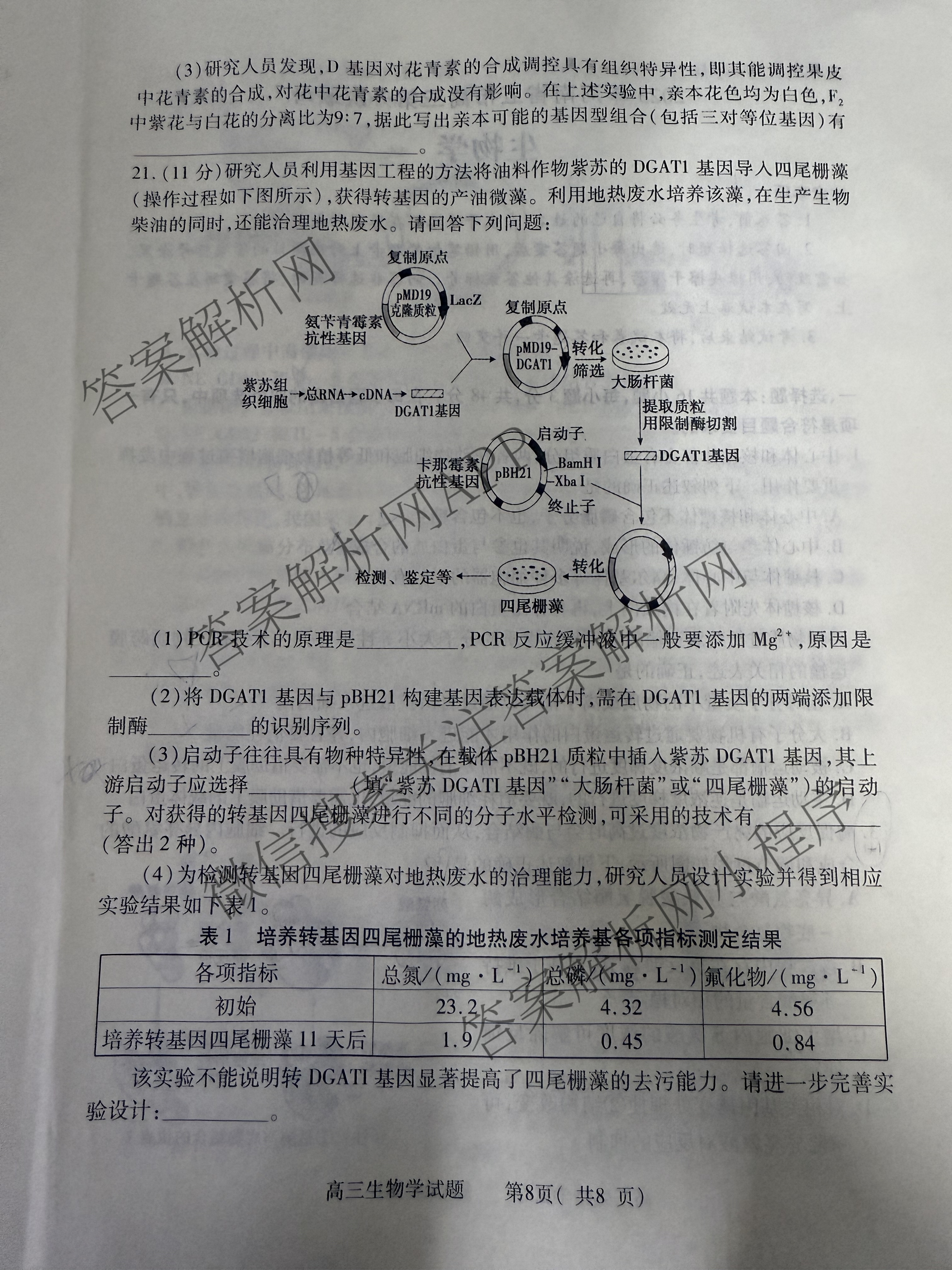 2025年河南省五市高三第一次联考（9科全）生物试题