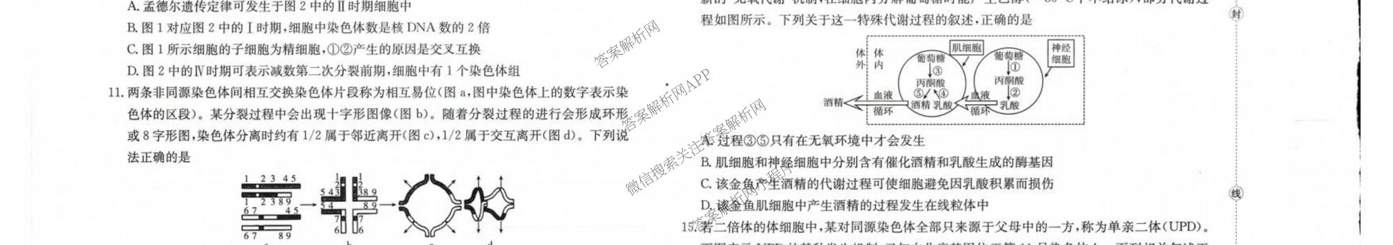 广西2026届高三10月考试(9科全)生物试题 广西2026届高三10月考试(9科全)生物试题