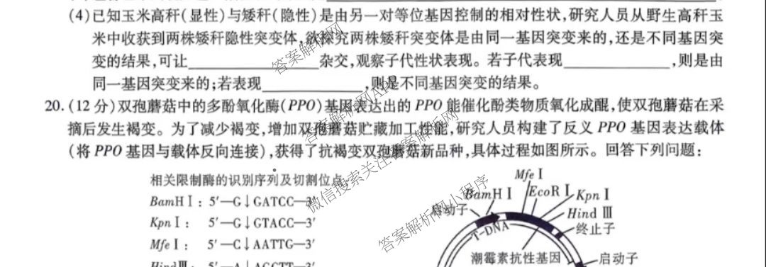 江淮十校2026届高三第一次联考(2025.8)（9科全）生物试题