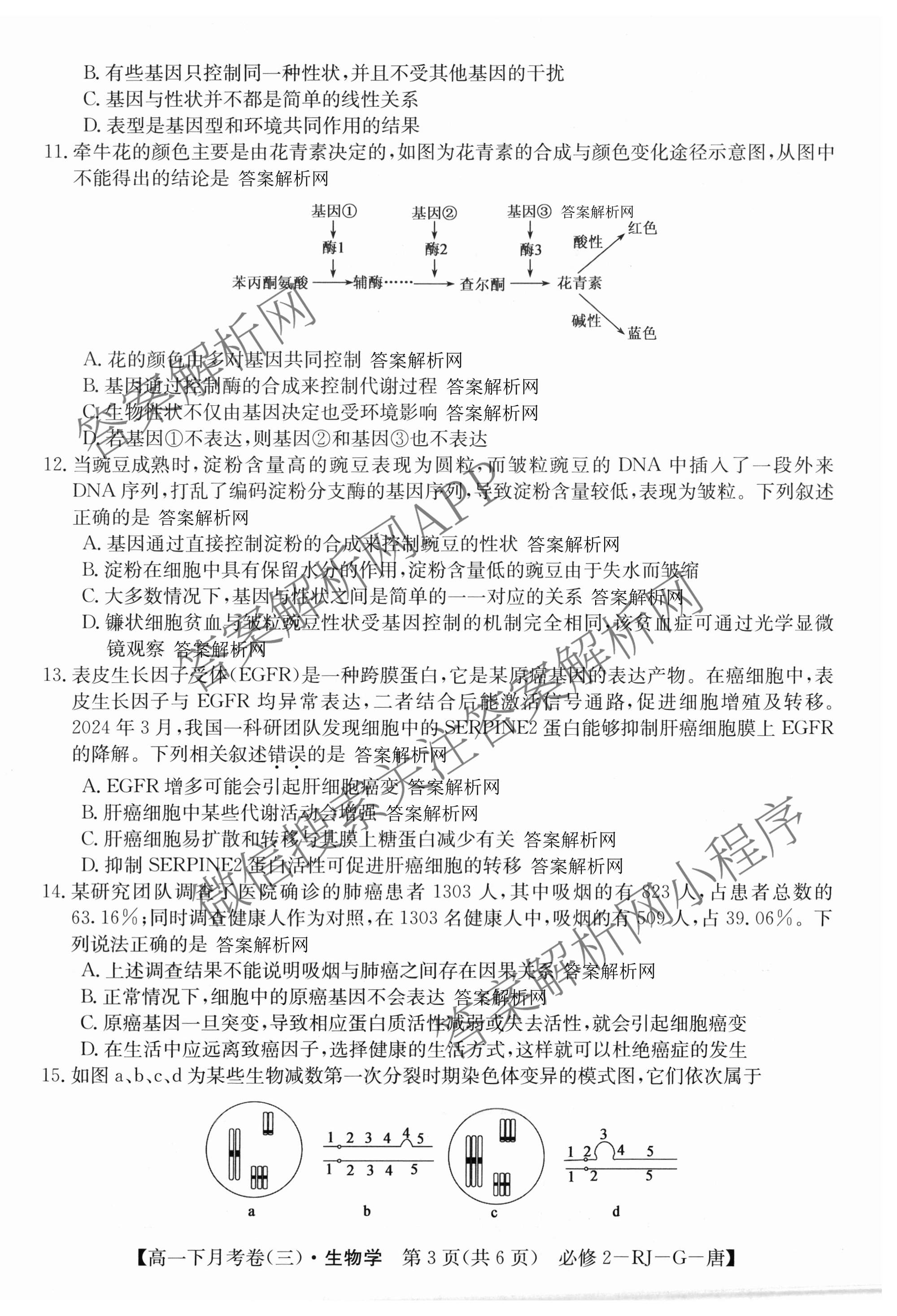 2025~2026全国名校高一下学期第三次月考试卷（含物理(必修第二册-RJ-G-唐)、历史(《中外历史纲要下》-BB-X-F-唐)、语文(必修下册-BB-X-F-唐)等）生物试题