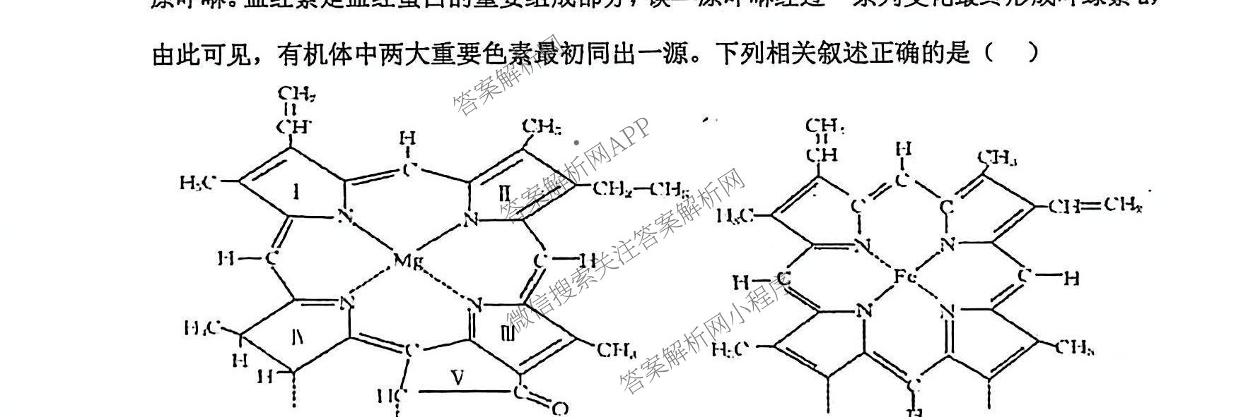 湖南省娄底四中2025年下期高一第一次月考（含历史 数学 英语等）生物试题