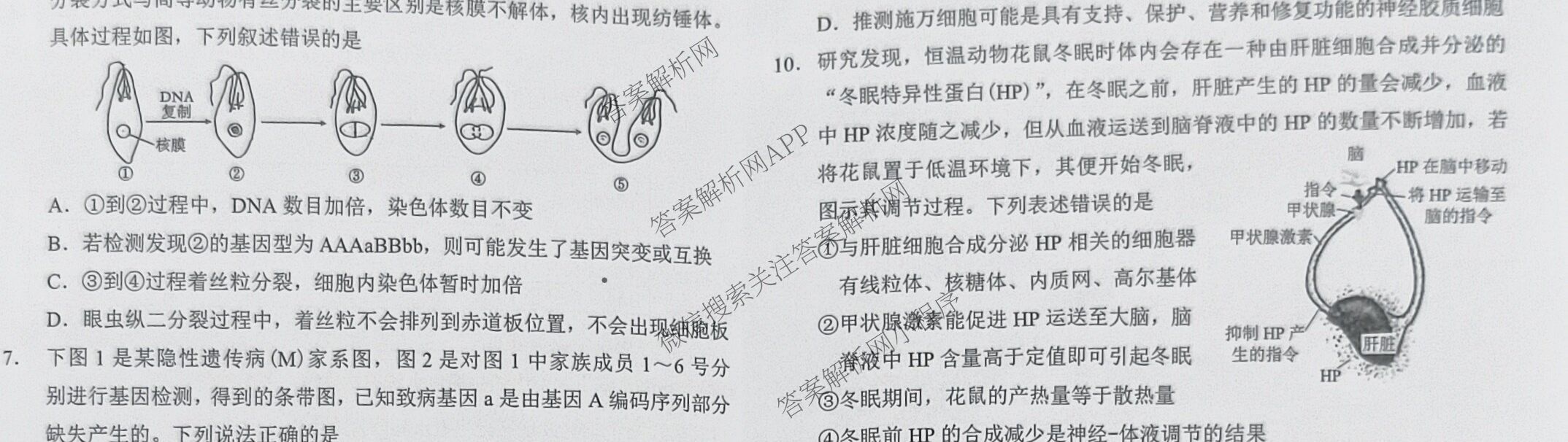 重庆康德2025年普通高等学校招生全国统一考试高考模拟调研卷(三)各科答案及试卷（含地理 物理 生物等9份）生物试题