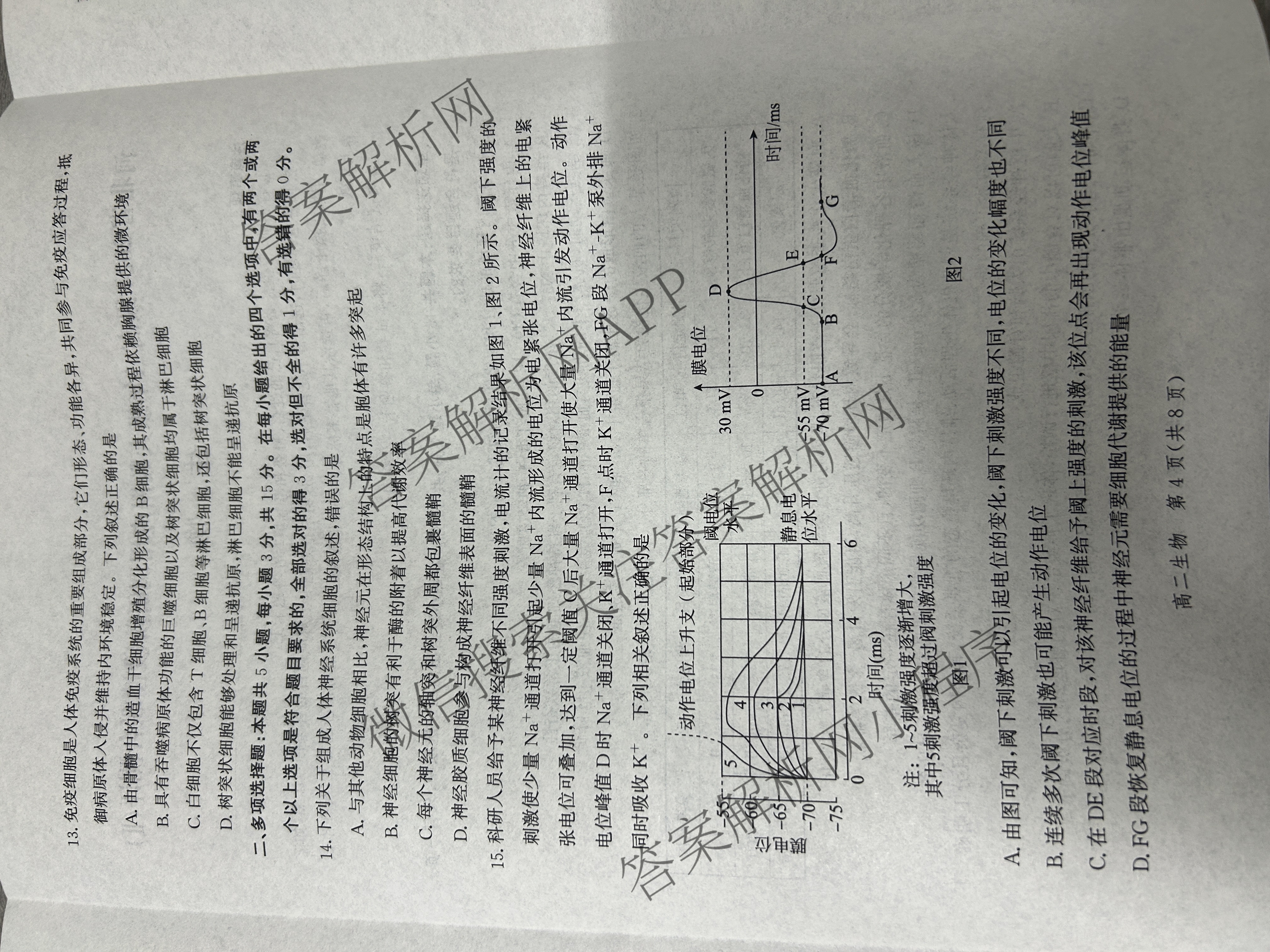 河北省2024级高二年级大数据应用调研阶段性联合测评(II)试卷及答案汇总(9科全)生物试题 河北省2024级高二年级大数据应用调研阶段性联合测评(II)试卷及答案汇总(9科全)生物试题