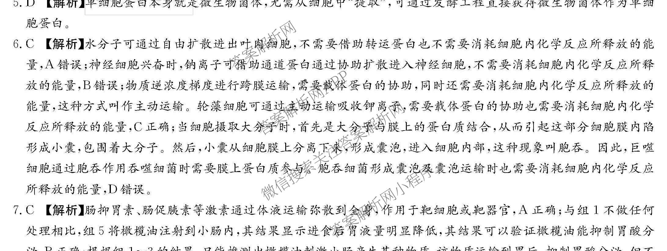 炎德英才大联考湖南师大附中2026届高三月考试卷(四)各科答案及试卷（含地理、生物、语文等）生物试题