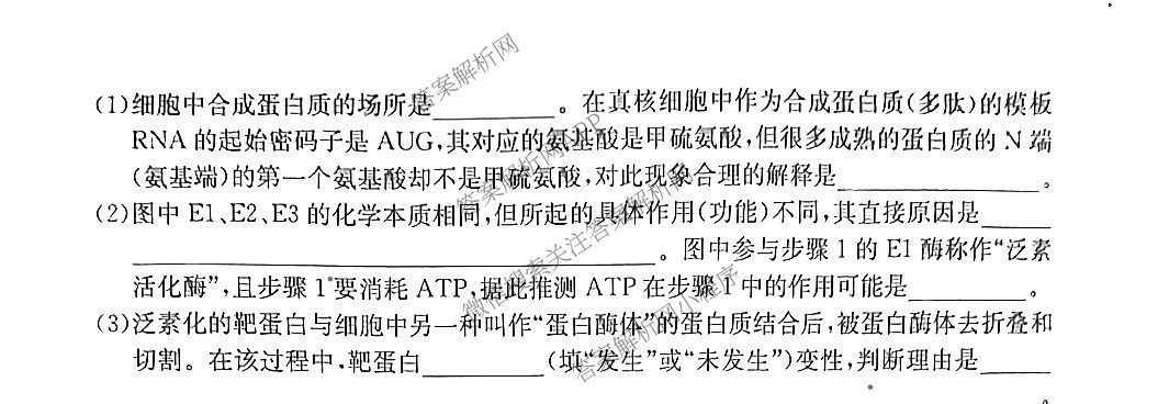 2025~2026学年高三9月质量检测卷(26-X-004C)试卷及答案汇总（含政治、语文、地理等9份）生物试题