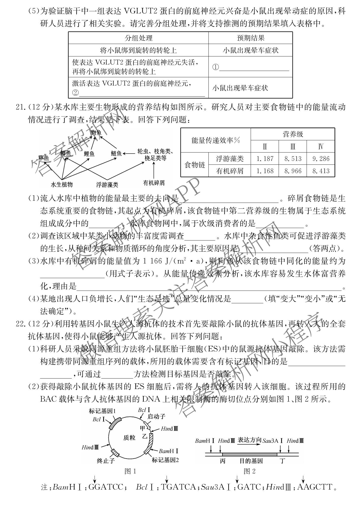 河北省廊坊一中2027届高三上学期开学考试试卷及答案汇总(已更新语文 数学 物理等9份)生物试题