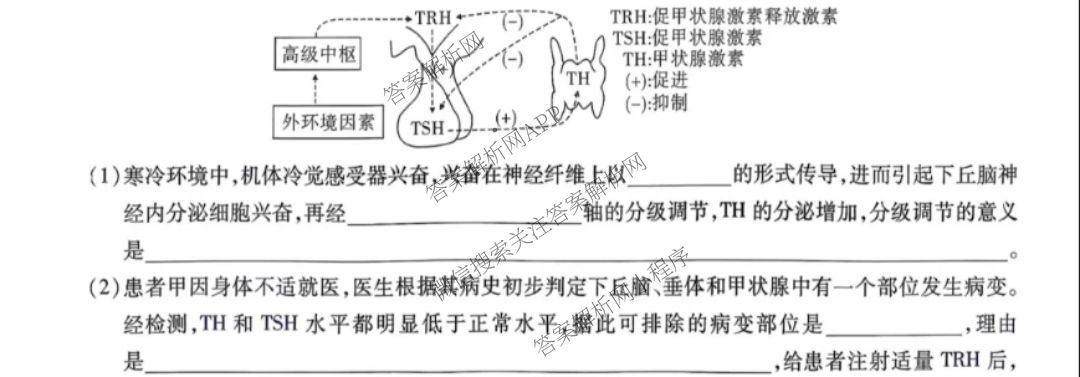 江淮十校2026届高三第一次联考(2025.8)（9科全）生物试题