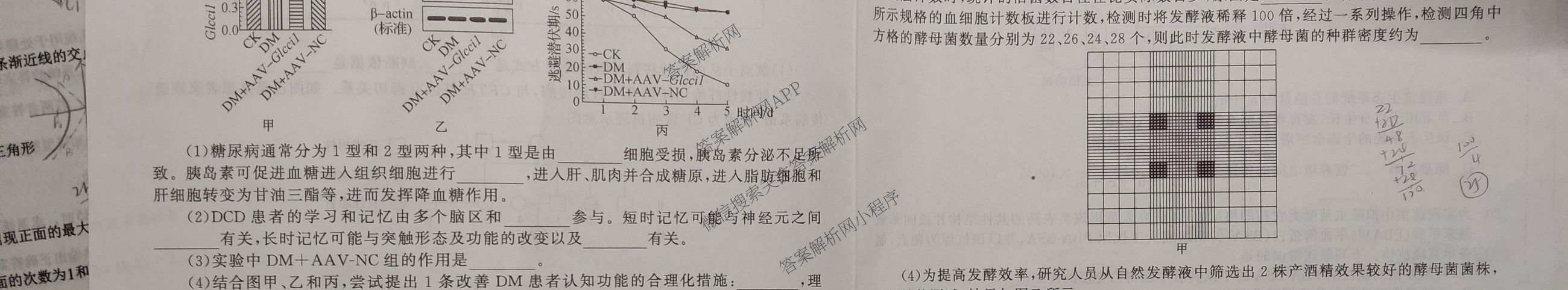 天舟高考衡中同卷2026年普通高等学校招生全国统一考试模拟信息卷(二)2各科答案及试卷（含化学(山东版)、历史(GY)、数学(B)等）生物试题
