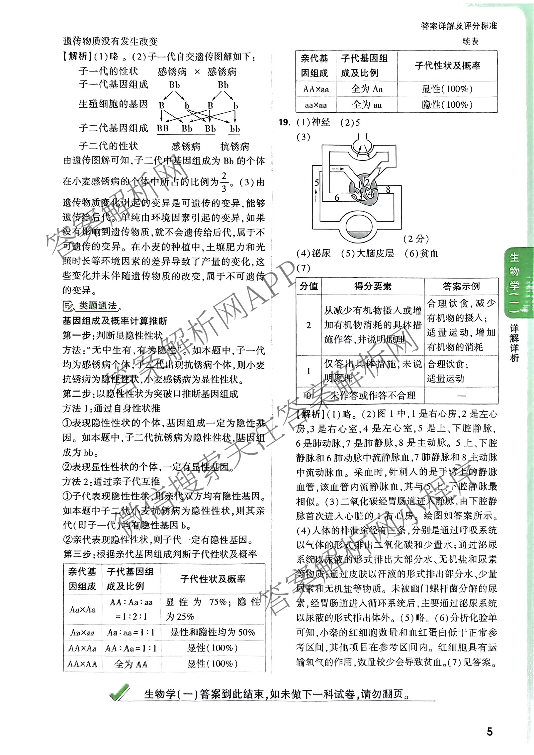 2025年陕西省初中学业水考试定心卷各科答案及试卷: 含化学、生物(二)、道德与法治试卷解析生物答案