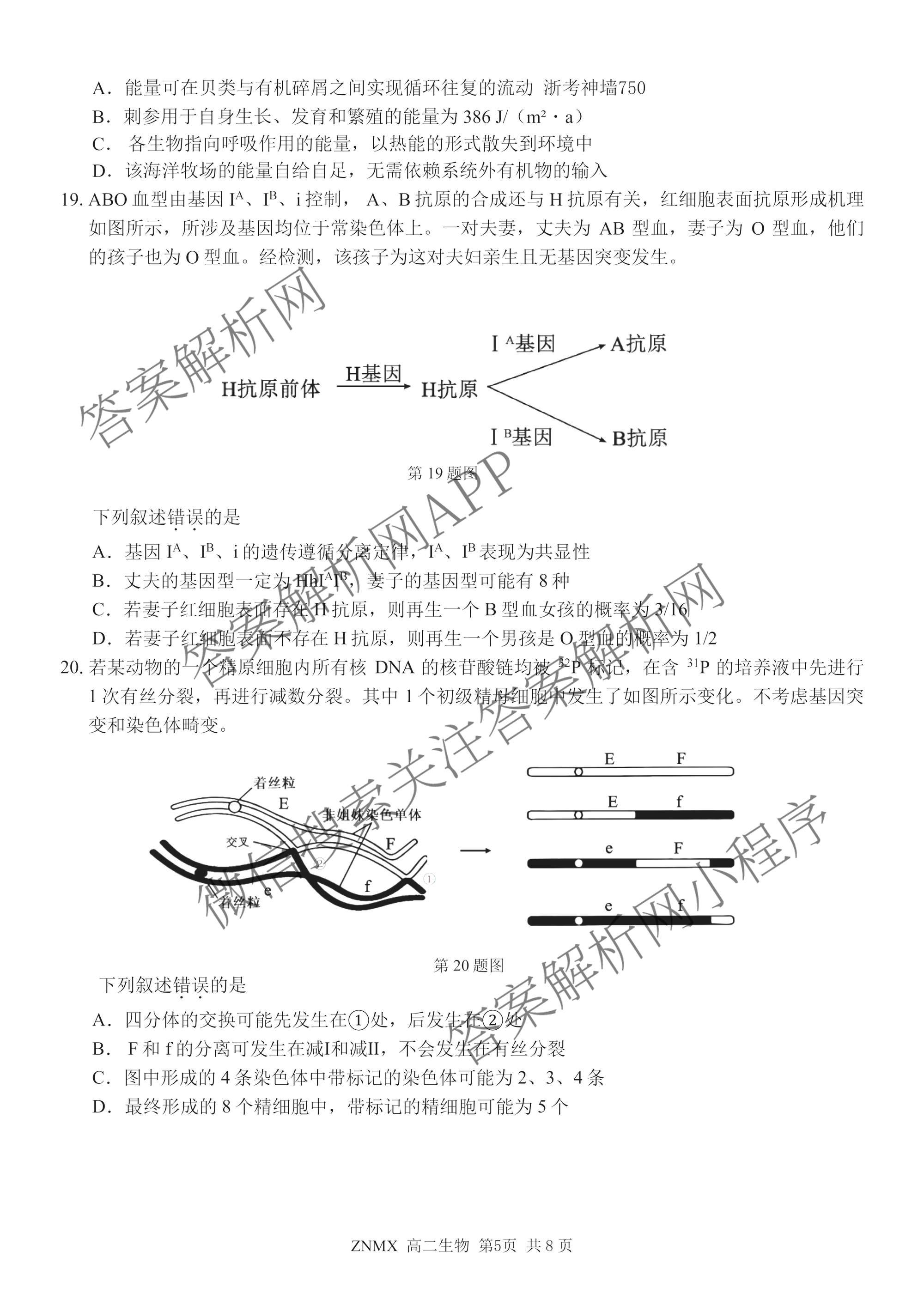 浙江省浙南名校联盟2026年高二练(3月)(ZNMX)各科答案及试卷（含语文 英语 政治等）生物试题