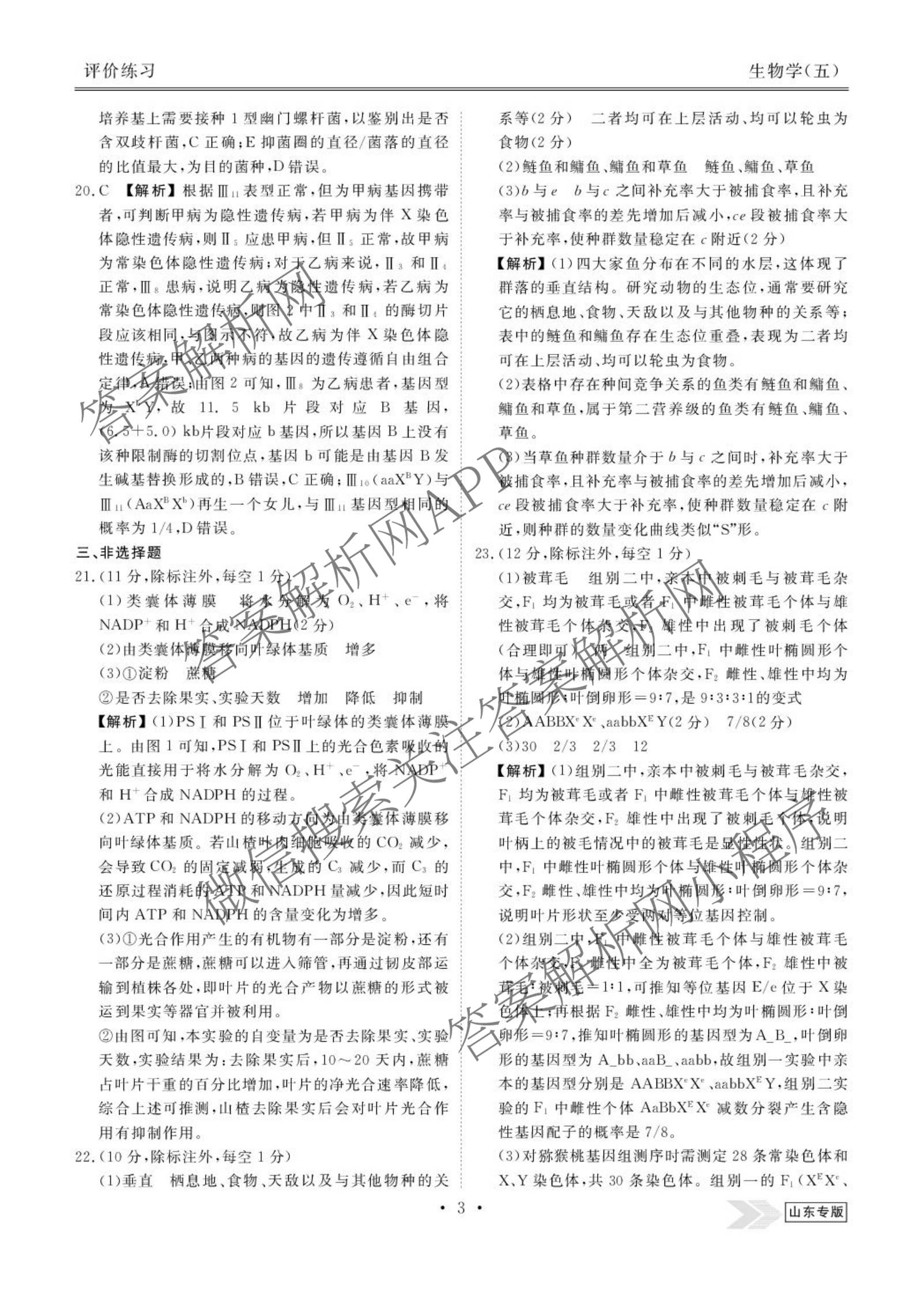衡水金卷先享题2026年学科素养评价练(五)5(已更新地理(HJ)【河北专版】、地理(HN)【湖南专版】、生物(CY)【四川重庆专版】等90份)生物试题