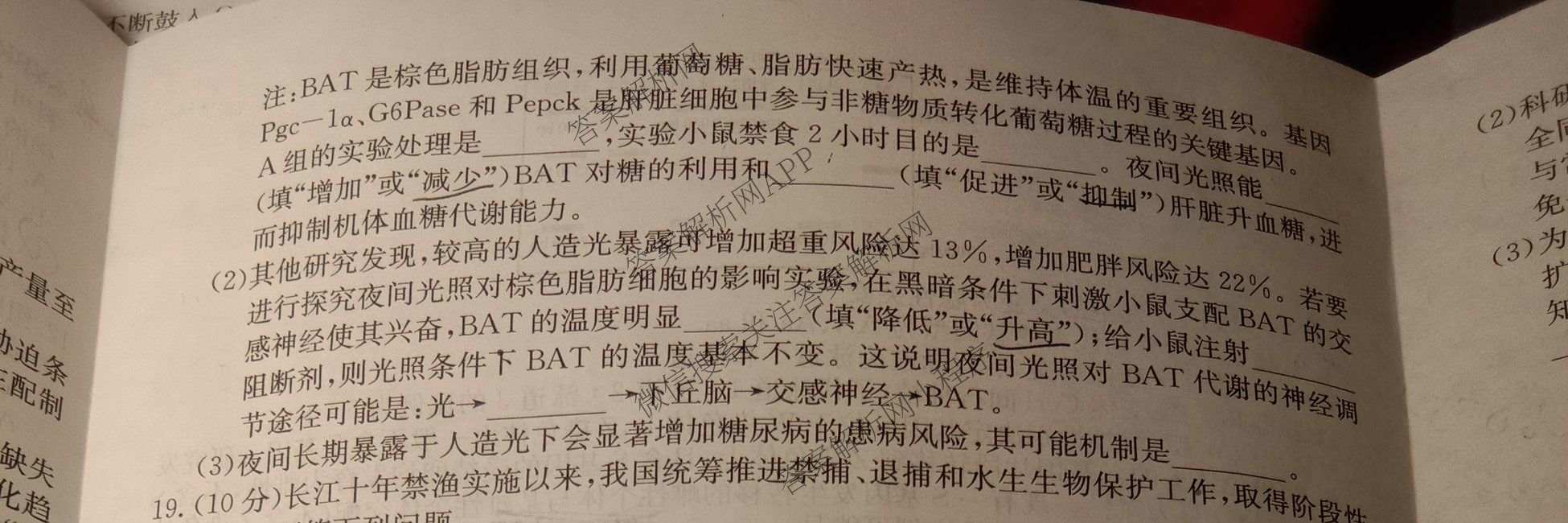2026年全国高考冲刺押题训练(一)1各科答案及试卷(已更新英语(N) 语文(N) 生物(D N)等17份)生物试题