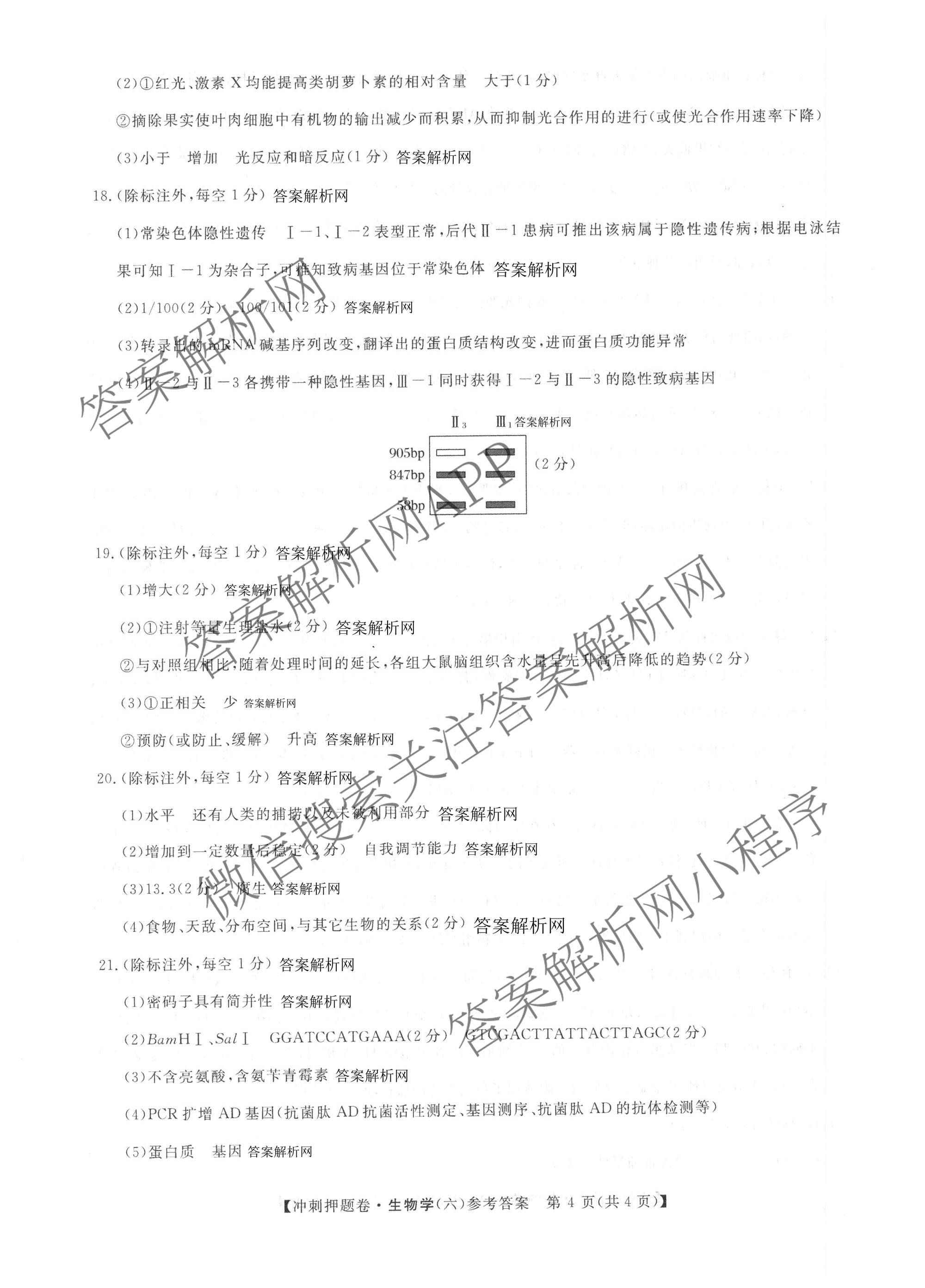 2026普通高等学校招生全国统一考试冲刺押题卷(六)6各科答案及试卷（含数学(B)、语文、生物(AC)等）生物答案