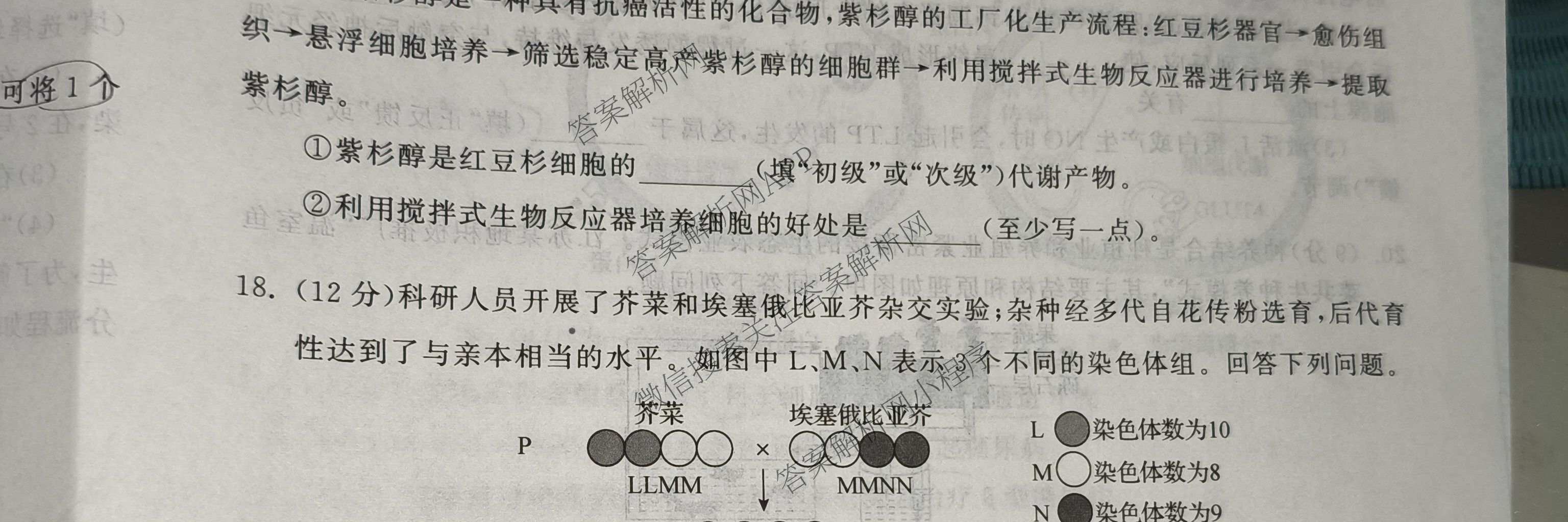天舟高考衡中同卷2026年普通高等学校招生全国统一考试模拟信息卷(四)4试卷及答案汇总: 含化学(无字母)、数学(无字母)、理综(新疆版)试卷解析生物试题