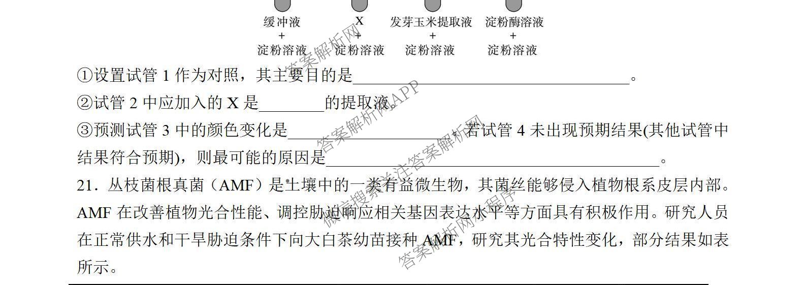 荆州中学2026届高三上学期10月月考试卷及答案汇总: 含化学 数学 生物试卷解析生物试题 荆州中学2026届高三上学期10月月考试卷及答案汇总: 含化学 数学 生物试卷解析生物试题