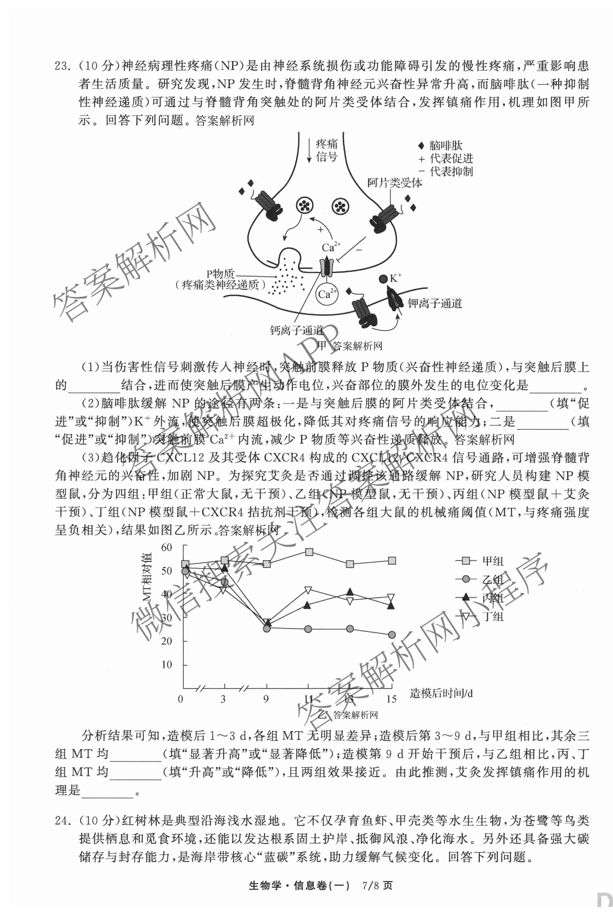 天舟高考衡中同卷2026年普通高等学校招生全国统一考试模拟信息卷(一)1各科答案及试卷（含历史(WS)、政治(XB)、物理(安徽版)等）生物试题