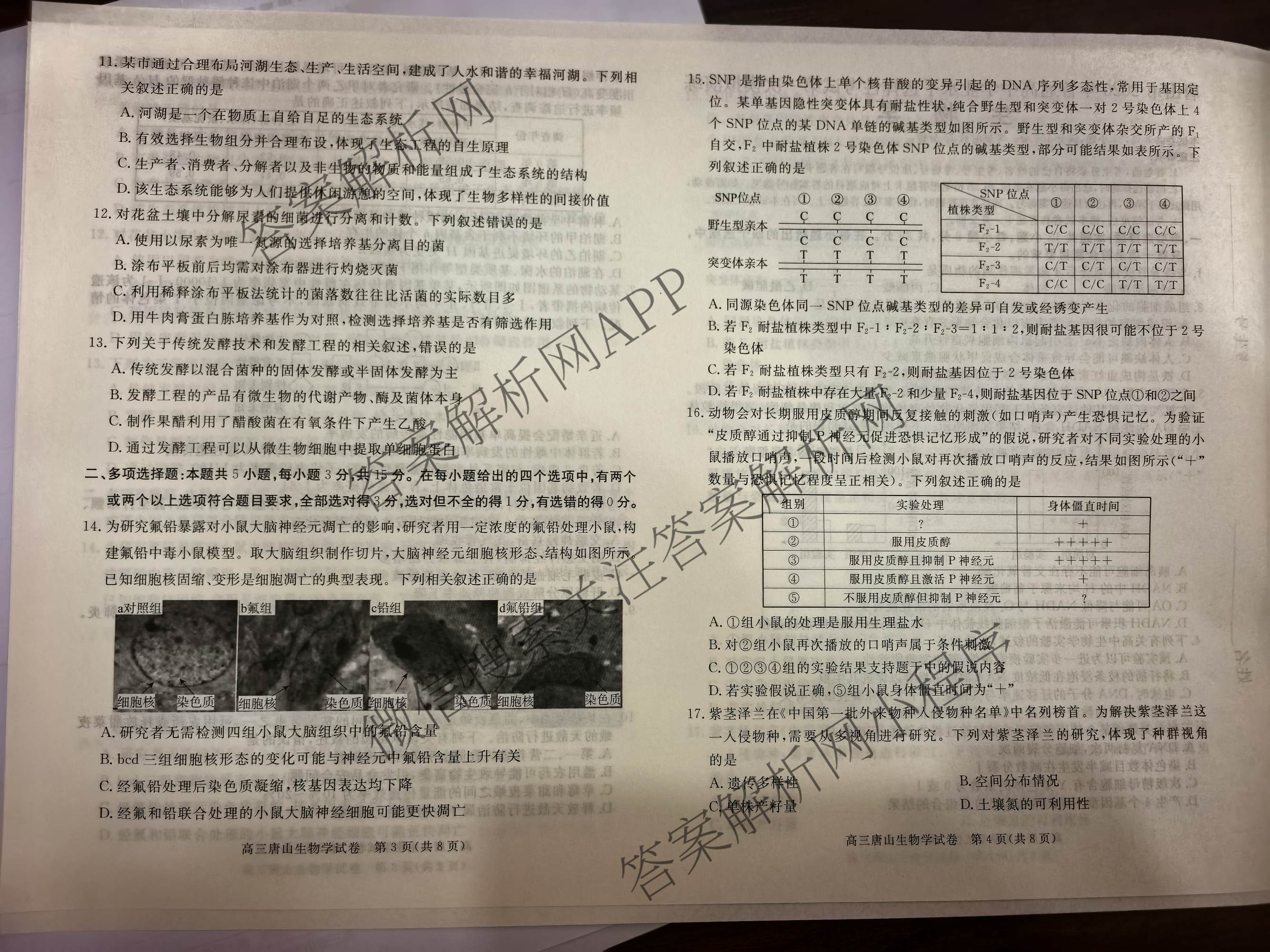 [唐山一模]河北省2026年唐山市普通高等学校招生统一考试第一次模拟演练各科答案及试卷（含化学、政治、英语等）生物试题