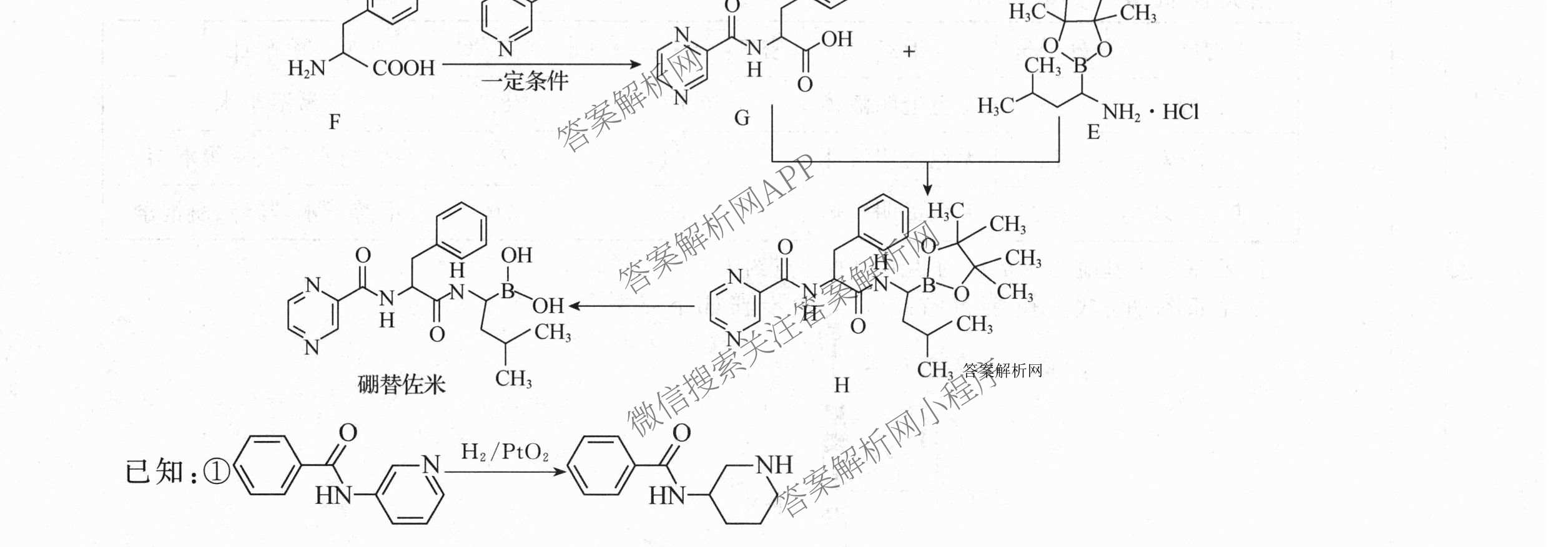 天舟高考衡中同卷2026年普通高等学校招生全国统一考试模拟信息卷(三)3（含历史(HJ) 地理(GY) 数学(无字母)等）理综试题