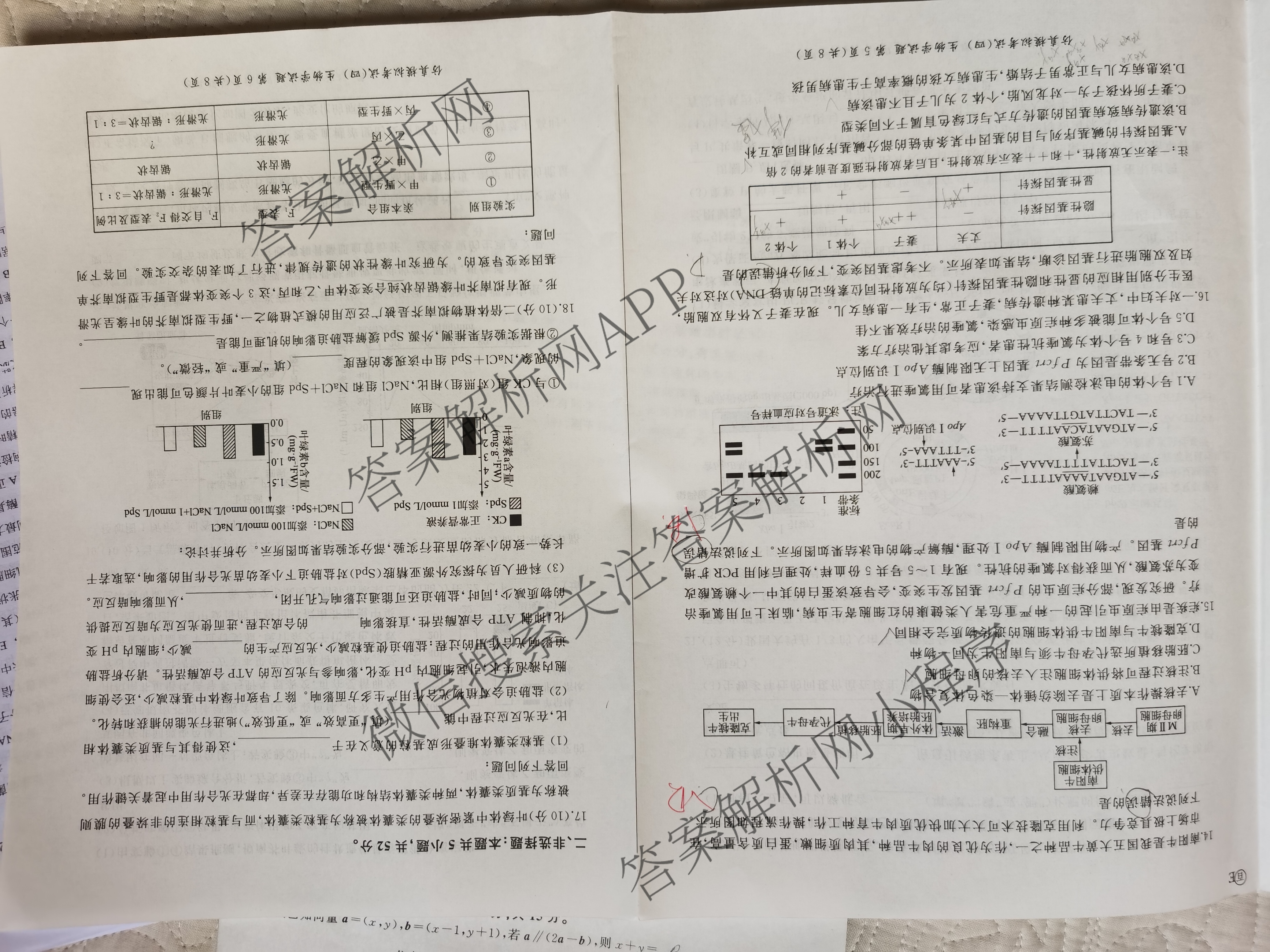 百师联盟2026届高三仿真模拟考试(四): 含物理(百N) 英语 历史(百G)试卷解析生物试题