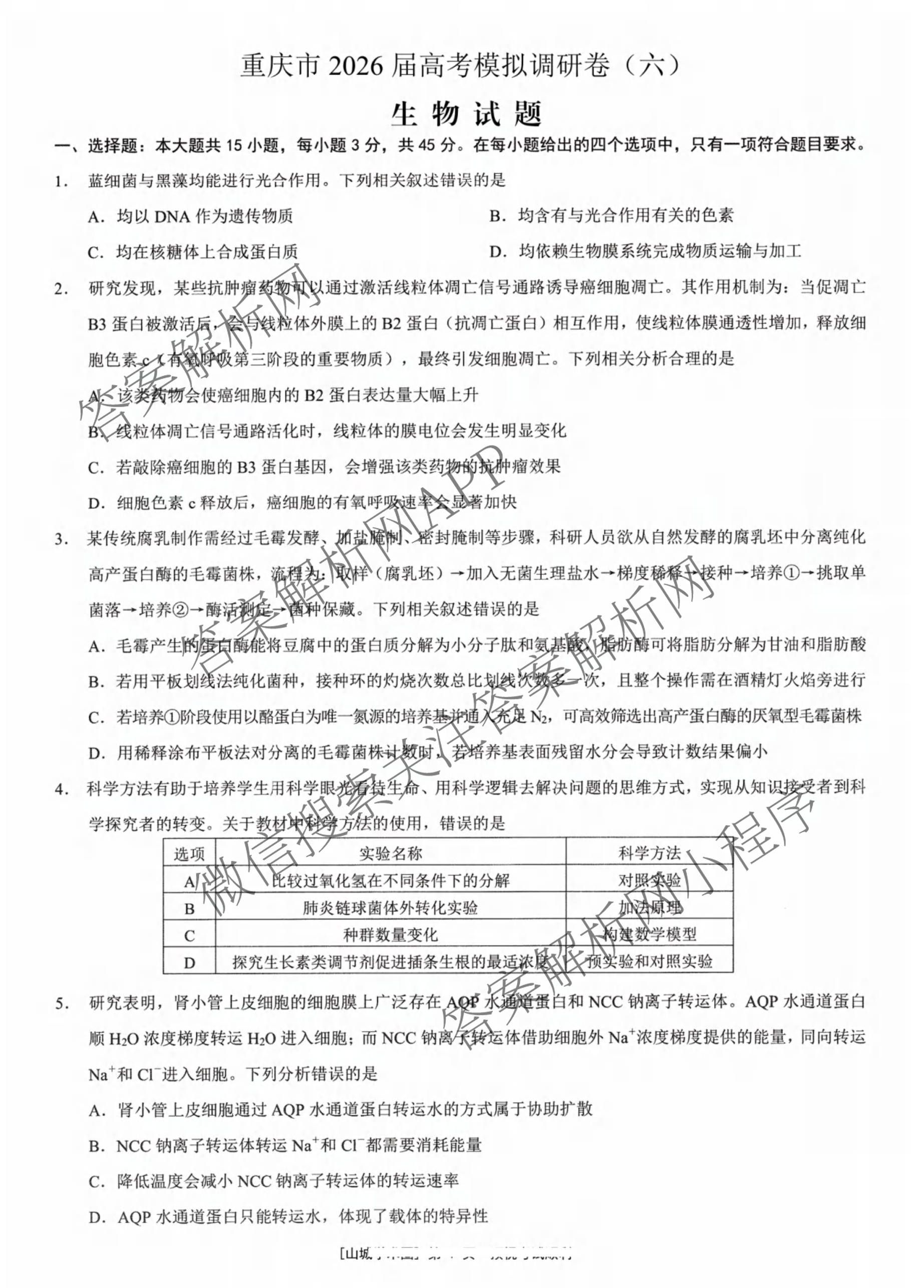 重庆康德2026届重庆市高考模拟调研卷(六)试卷及答案汇总: 含数学、历史、政治试卷解析生物试题
