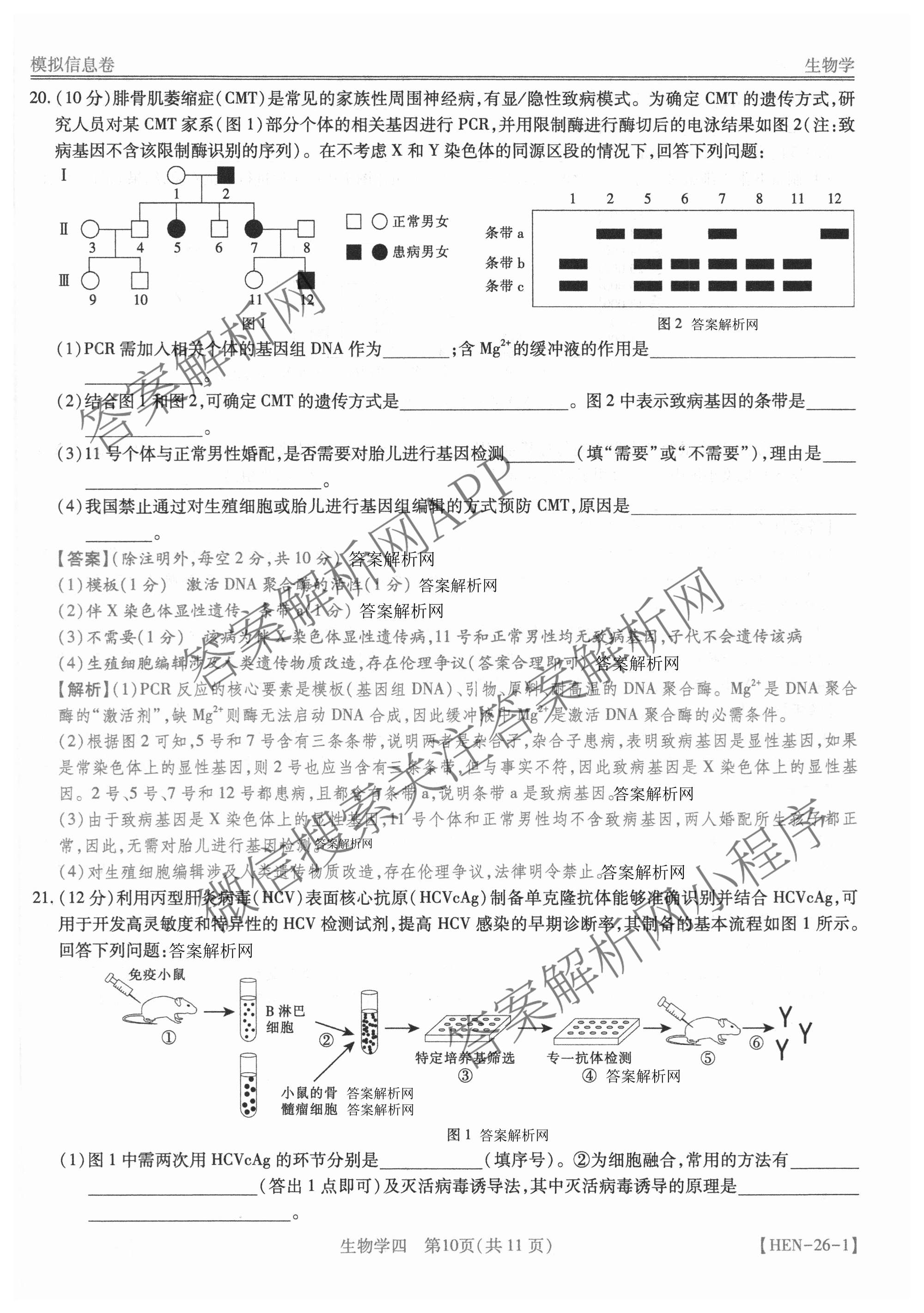 2026届智慧上进名校学术联盟高考模拟信息卷&冲刺卷&预测卷(四)4试卷及答案汇总(已更新地理(GD-26-1)、生物(II)、地理(无字母)等49份)生物答案