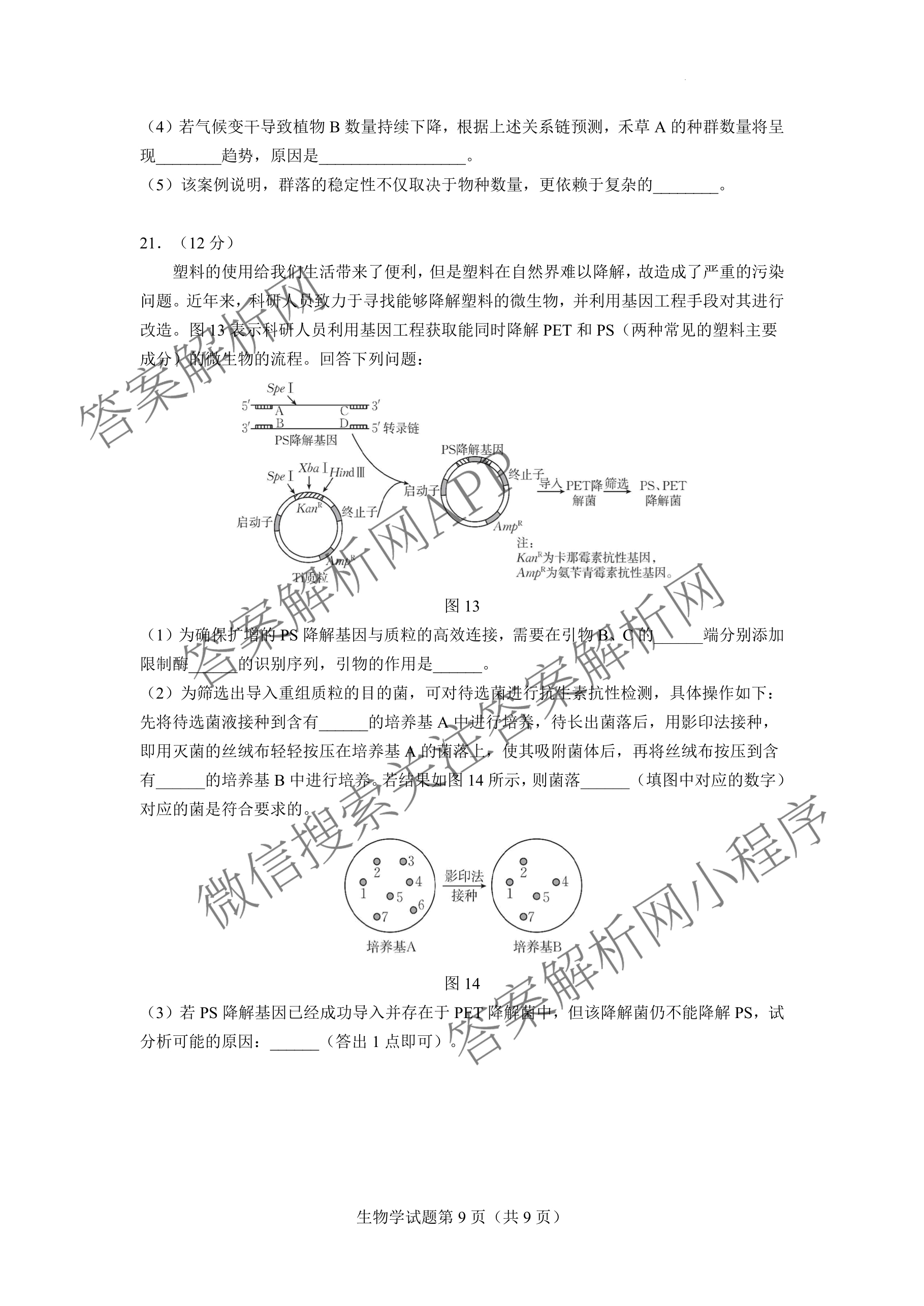 云南省玉溪一中2025-2026学年上学期高三适应性测试(六)各科答案及试卷(已更新数学 历史 物理等9份)生物试题