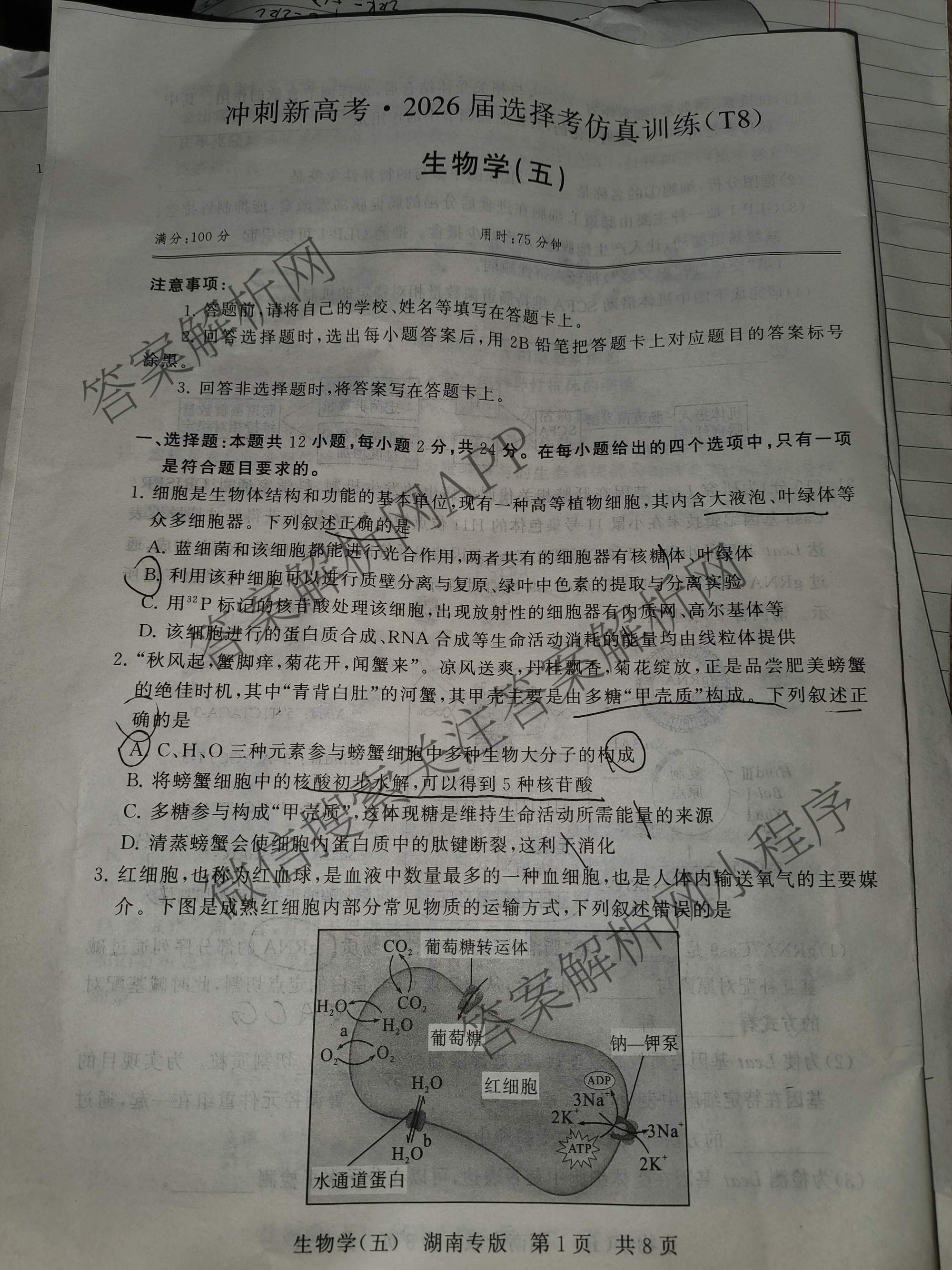 冲刺新高考2026届高考仿真训练(T8)(五)5各科答案及试卷: 含生物(河南专版)、物理(河北专版)、物理(陕晋青宁专版)试卷解析生物试题