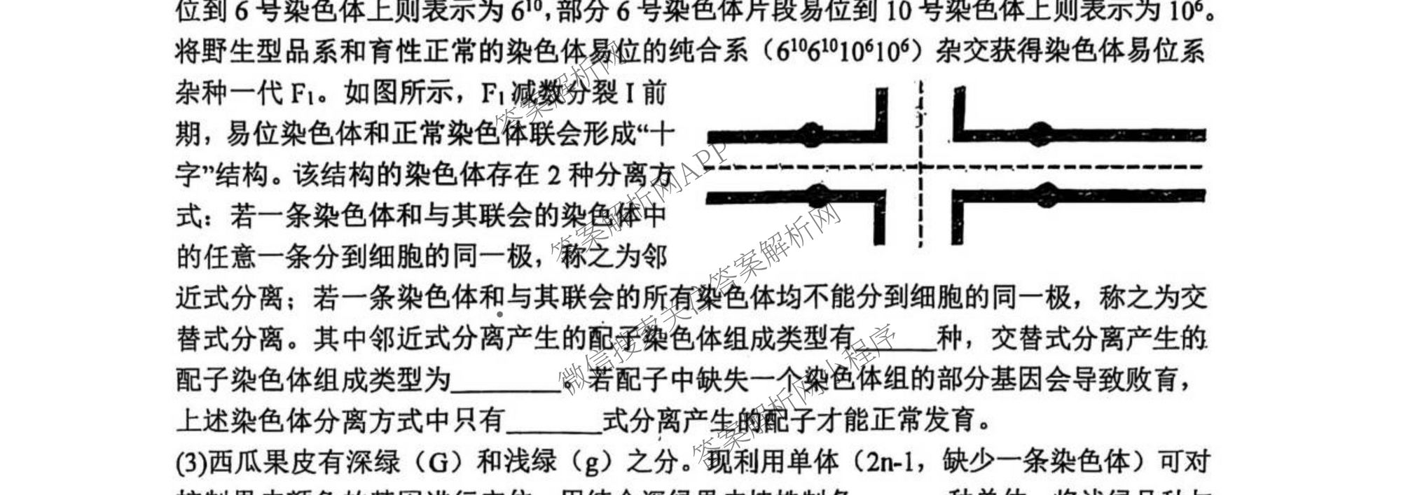 山西大学附中2025~2026学年第一学期高三10月模块诊断(总第五次): 含地理、英语、语文试卷解析生物试题