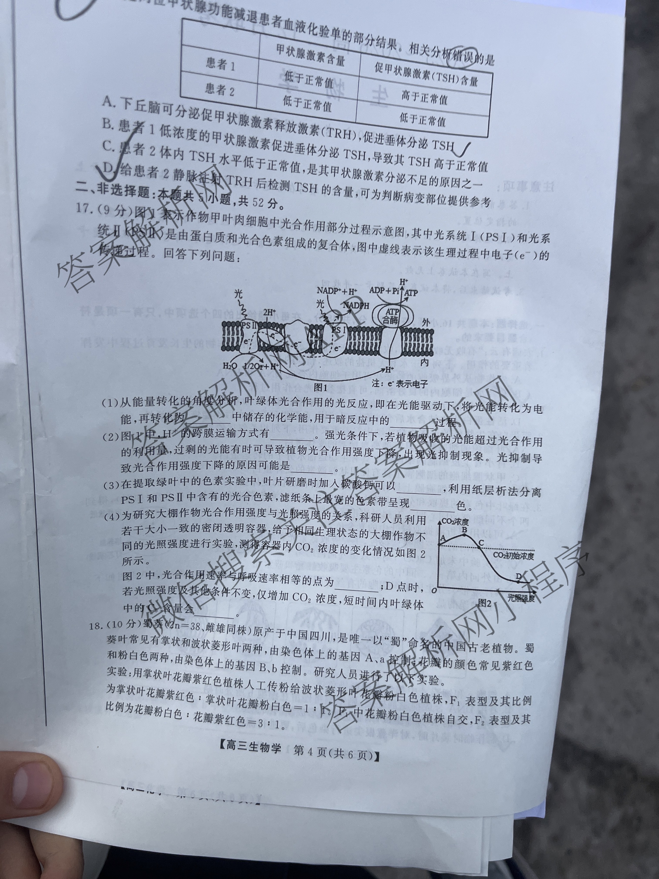 陕西省2025~2026高三12月联考试卷及答案汇总: 含历史、语文、数学试卷解析生物试题