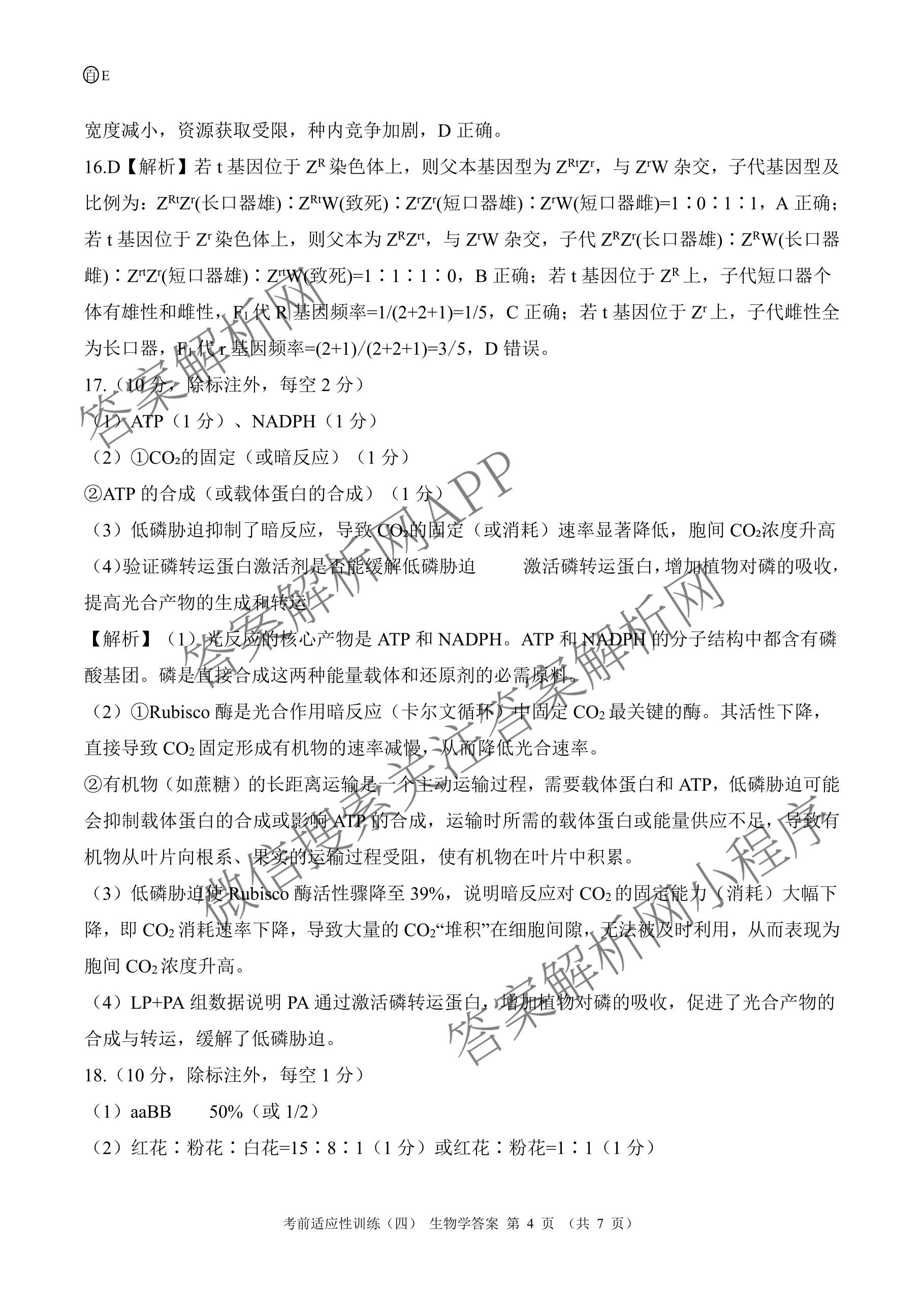 百师联盟2026届高三考前适应性训练(四)（26科全）生物答案