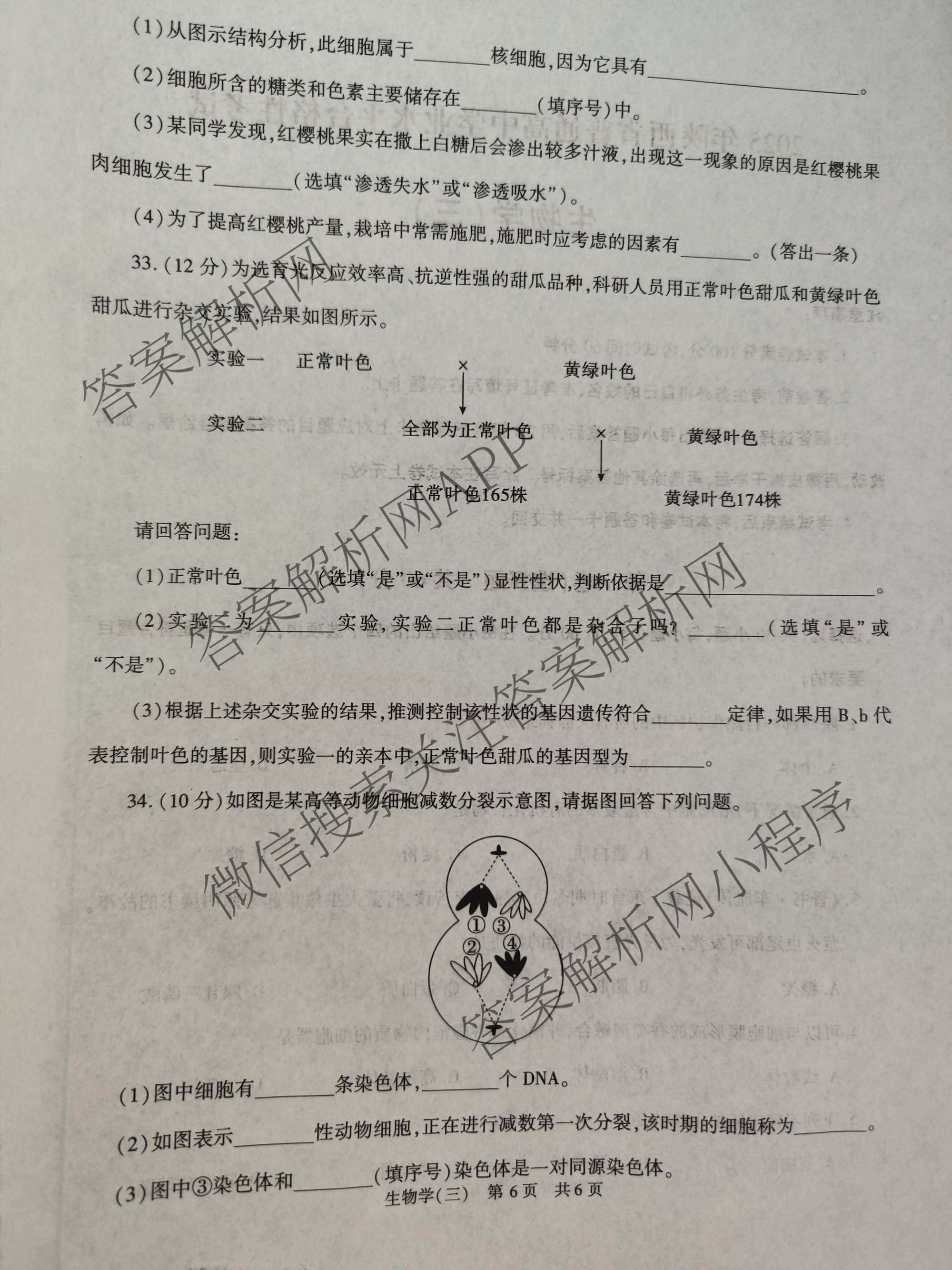 2025年陕西省普通高中学业水合格性考试(三)3（含语文、生物、历史等）生物试题