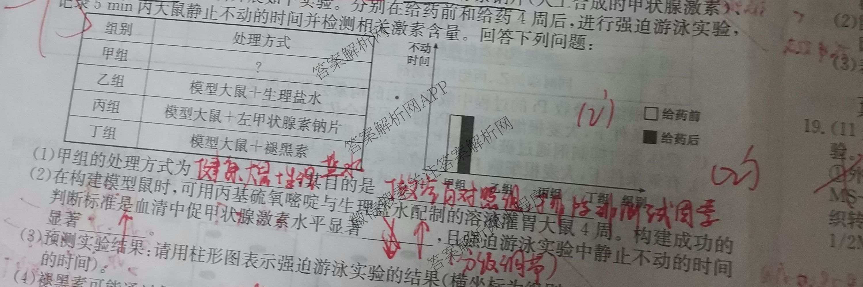 2026年全国高考冲刺压轴卷(二)2（含地理(河南) 地理(湖南) 物理(湖南)等67份）生物试题