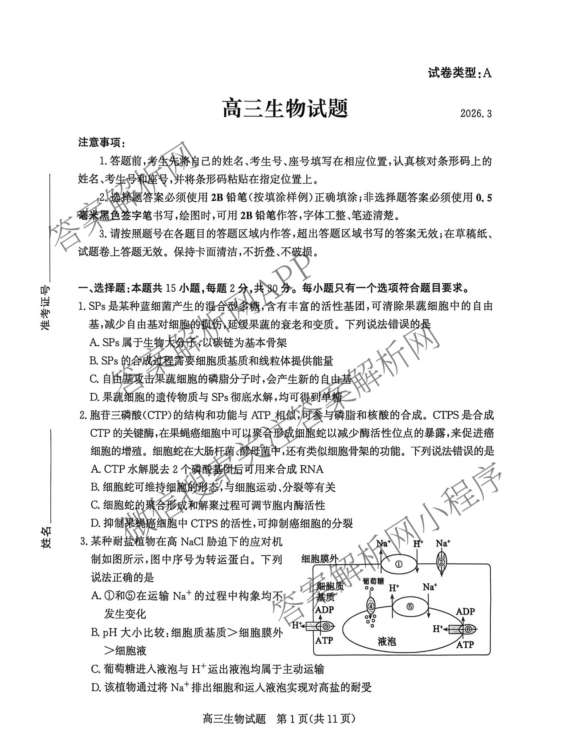 山东省滨州市2026届高三(无标题)(2026.3)各科答案及试卷（9科全）生物试题