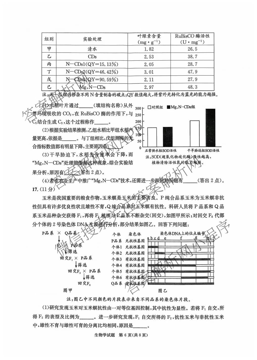 四川省成都市2023级高三第二次模拟测试(3.23)各科答案及试卷: 含数学 生物 语文试卷解析生物试题