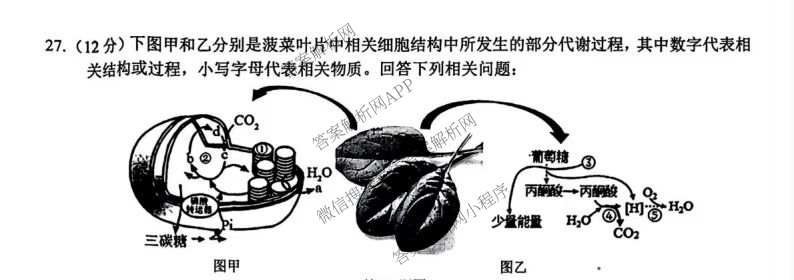浙江省浙南名校联盟2026年高一练(3月)(ZNMX)(已更新数学、英语、地理等9份)生物试题