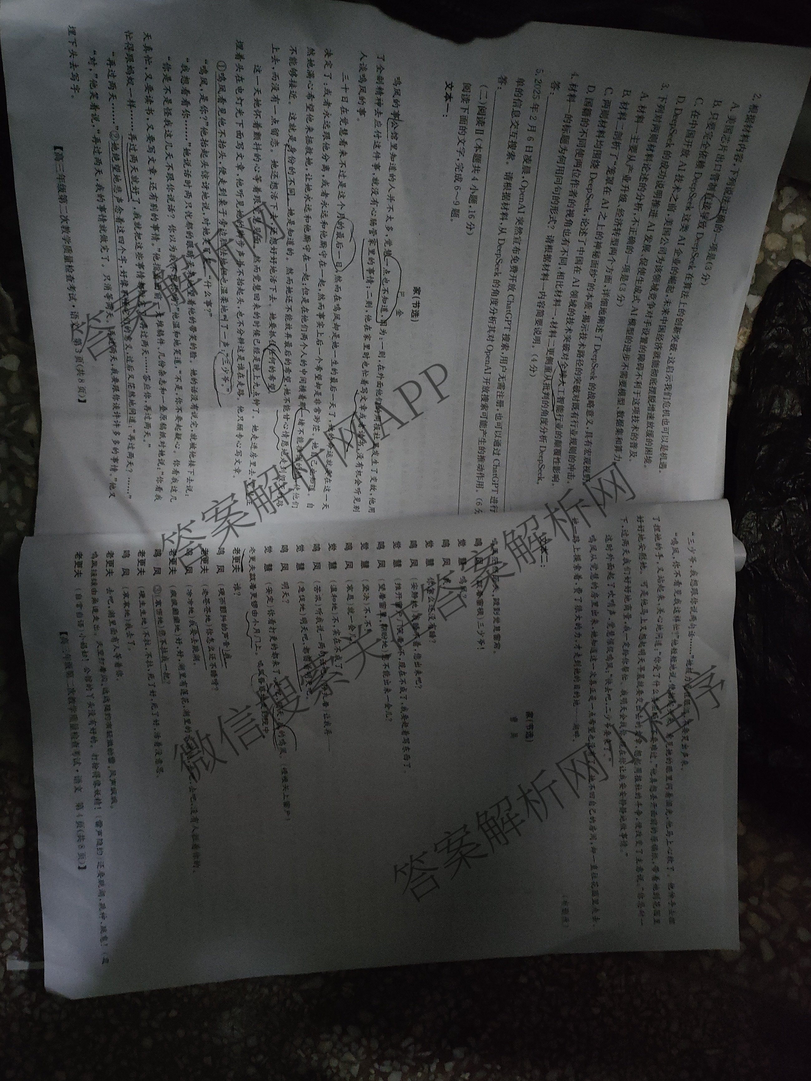 蚌埠市2025届高三年级第二次教学质量检查考试（含政治 数学 日语等10份）语文试题