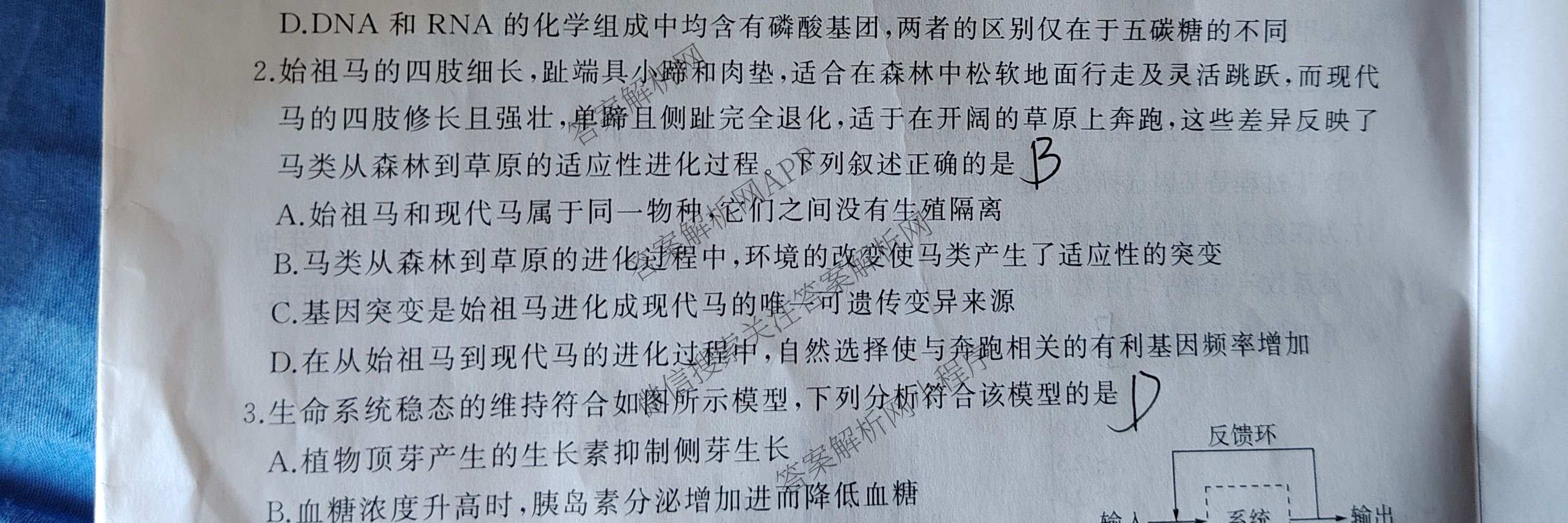 百师联盟2026届高三开年大联考(3.5)(已更新数学(百C)、历史(百N)、历史(百G)等81份)生物试题