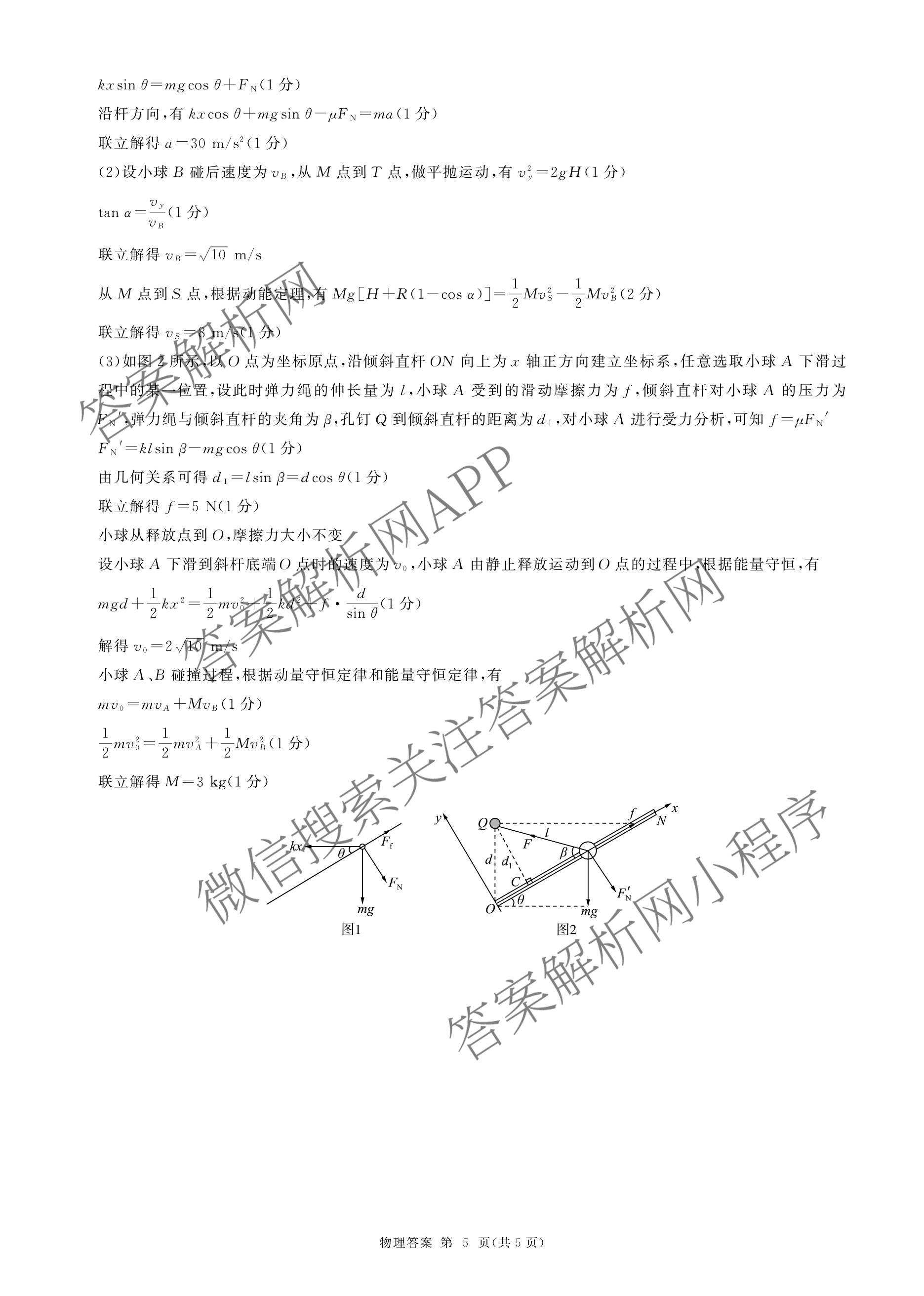 百师联盟2026届高三开年大联考(3.5)(已更新数学(百C)、历史(百N)、历史(百G)等81份)物理答案