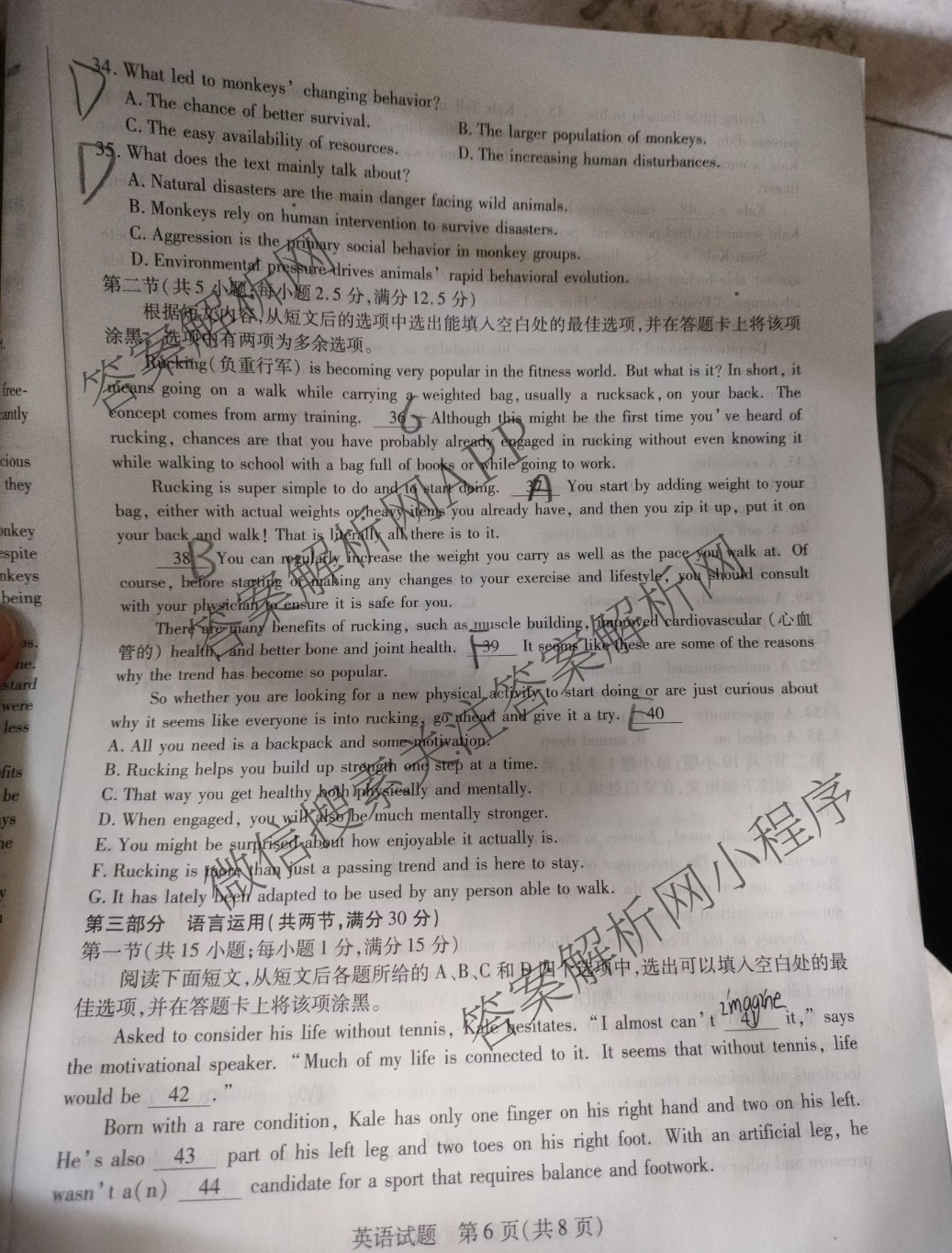 天一大联考2025届高三年级第二次模拟考试(10月)（含日语、地理、物理等）英语试题