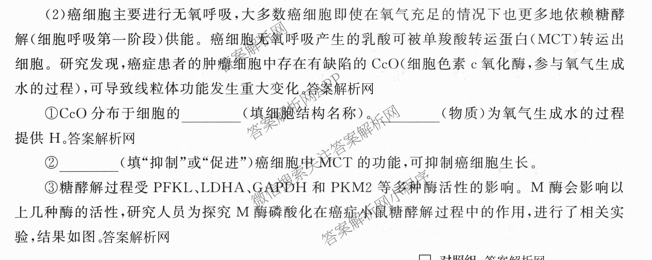 天舟高考衡中同卷2026年普通高等学校招生全国统一考试模拟信息卷(四)4试卷及答案汇总: 含化学(无字母)、数学(无字母)、理综(新疆版)试卷解析理综试题