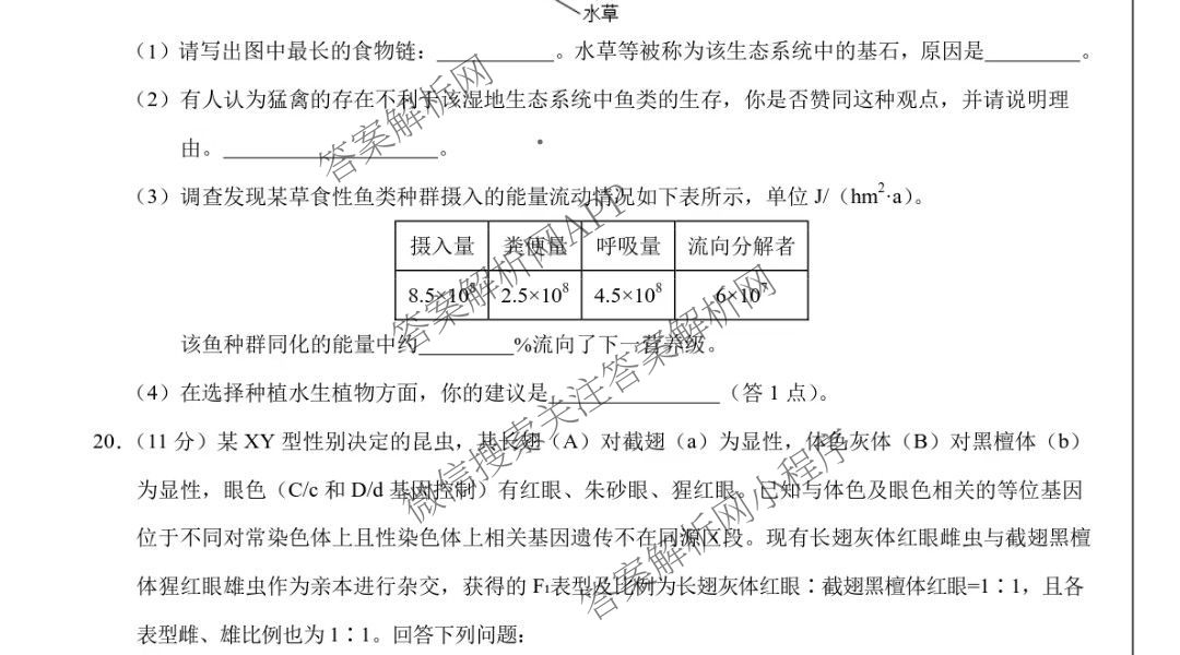 2025届高三4月大联考考后强化卷(已更新历史 生物(新高考卷) 英语等9份)生物试题