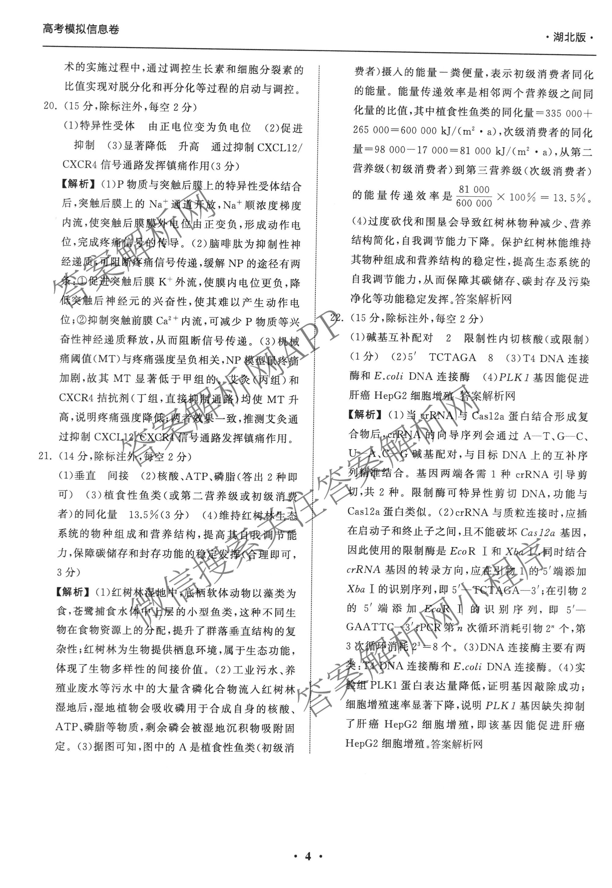 天舟高考衡中同卷2026年普通高等学校招生全国统一考试模拟信息卷(一)1（含历史(WY)、数学(B)、物理(WY)等）生物答案