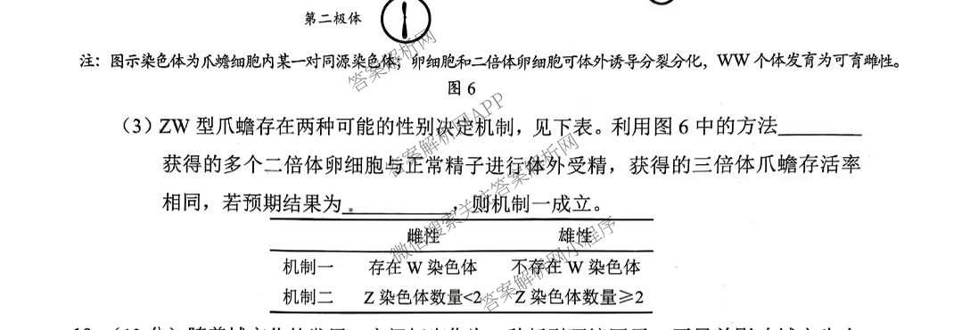 广东省2026年深圳市高三年级第一次调研考试(2026.3)（含化学、政治、物理等10份）生物试题
