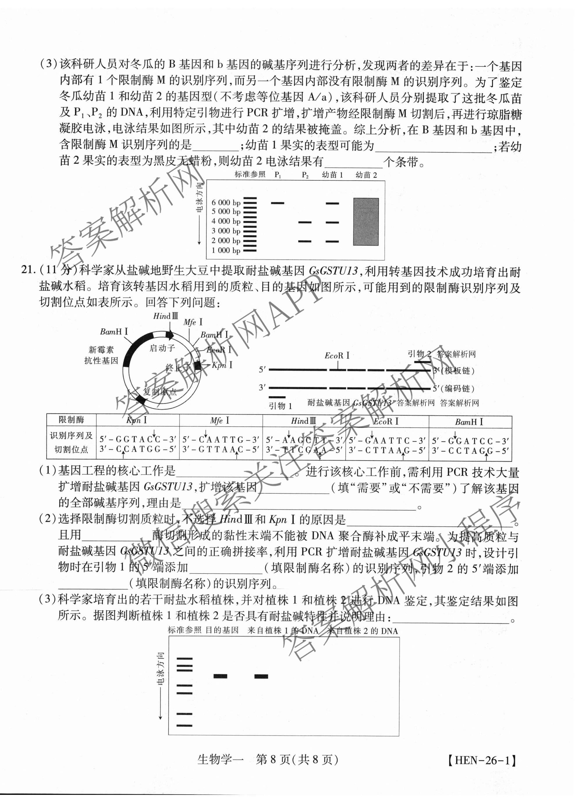 2026届智慧上进名校学术联盟高考模拟信息卷&冲刺卷&预测卷(一)1试卷及答案汇总（含化学(GD-26-1) 英语(I B-26-1) 英语(IA26-1)等）生物试题