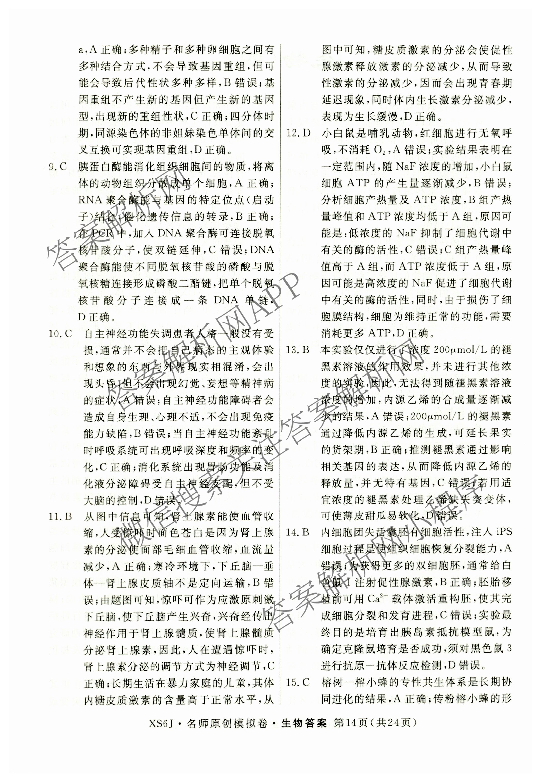 2026届高三总复习名师原创模拟(四)4试卷及答案汇总: 含政治(新S6J) 历史(新S6J) 语文(XS6J)试卷解析生物答案