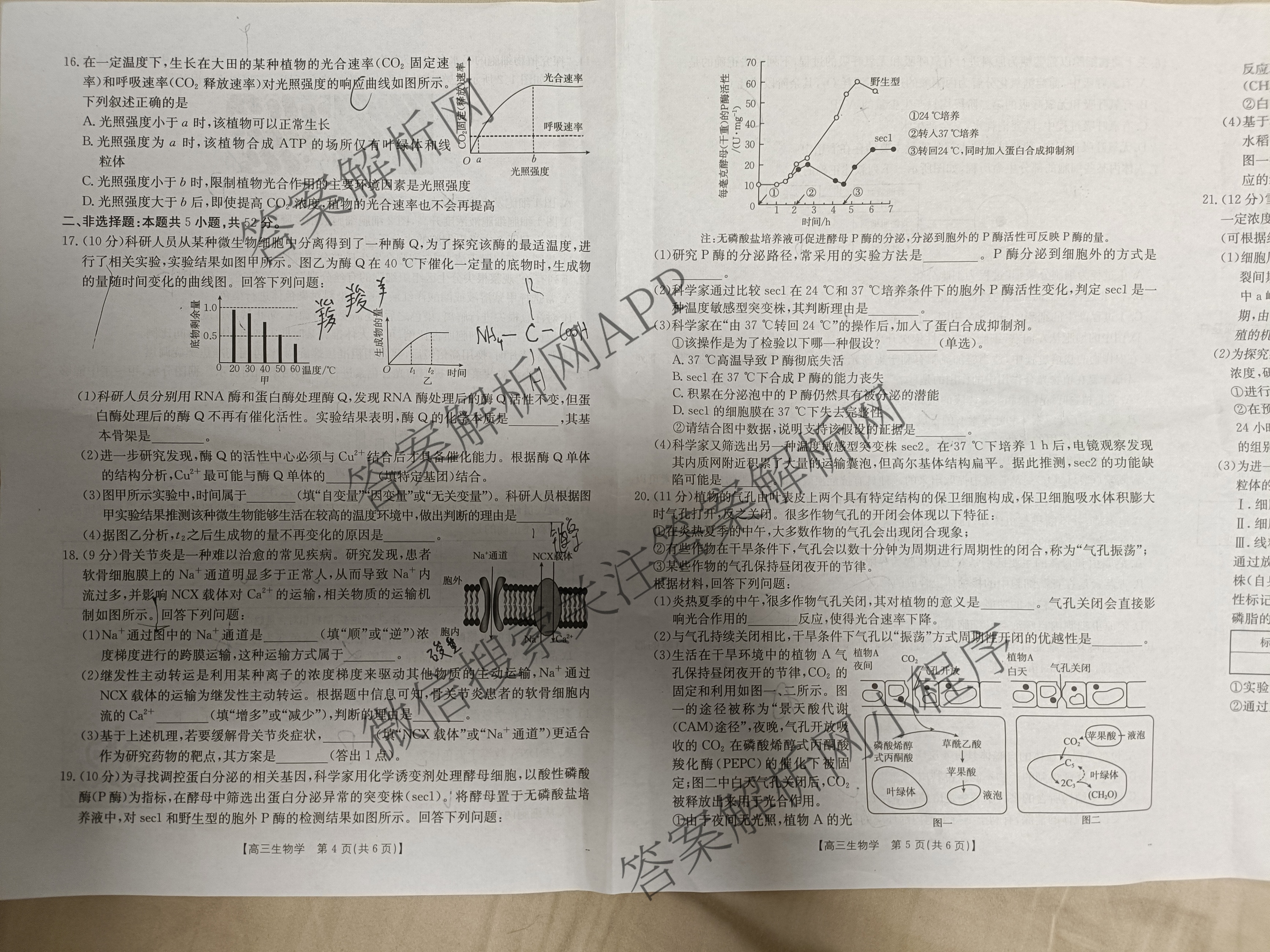 陕西2026届高三年级考试(9.29)试卷及答案汇总(已更新英语、数学、历史等9份)生物试题